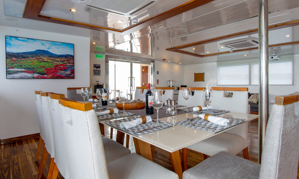 infinity-yacht-dining-room-2.jpg