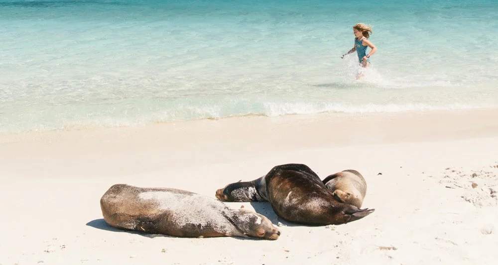 The 10 Best Beaches In The Galapagos Islands