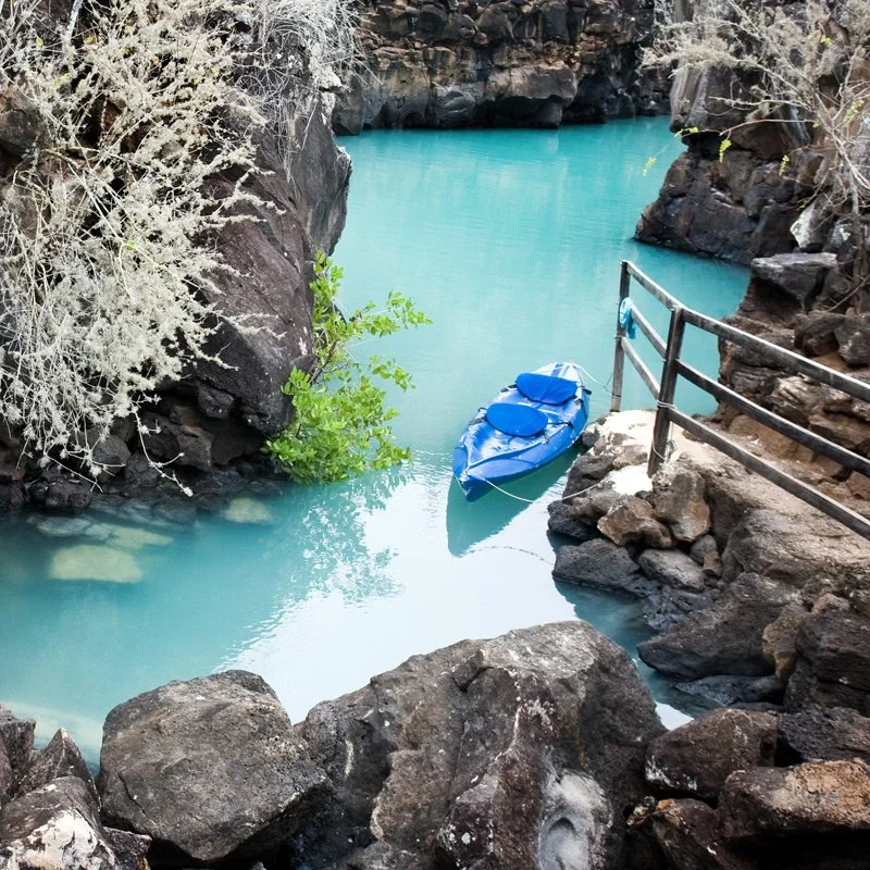 Which is the Best Galapagos Island to Visit?