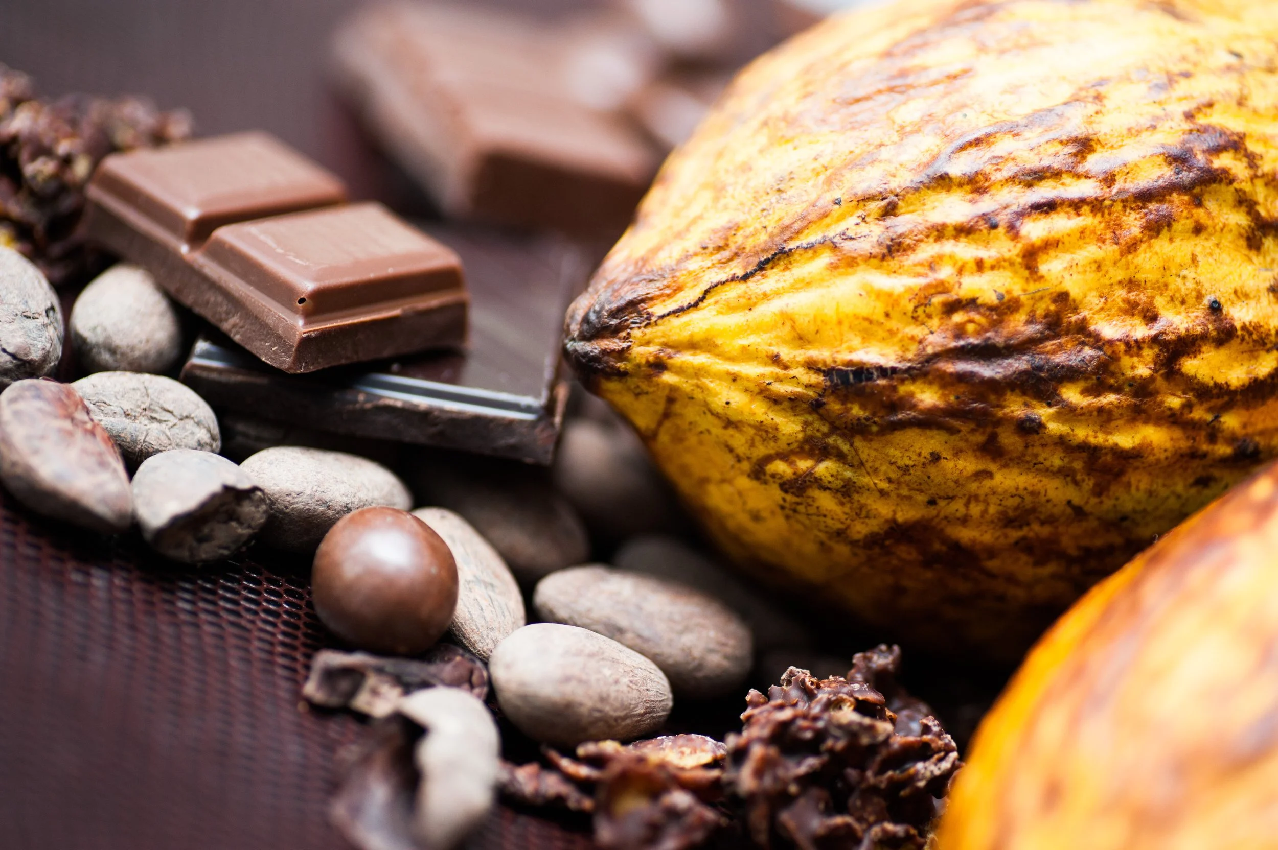 Food and Culture in Ecuador and Peru: A Foodie’s Guide to the Top 7 Restaurants