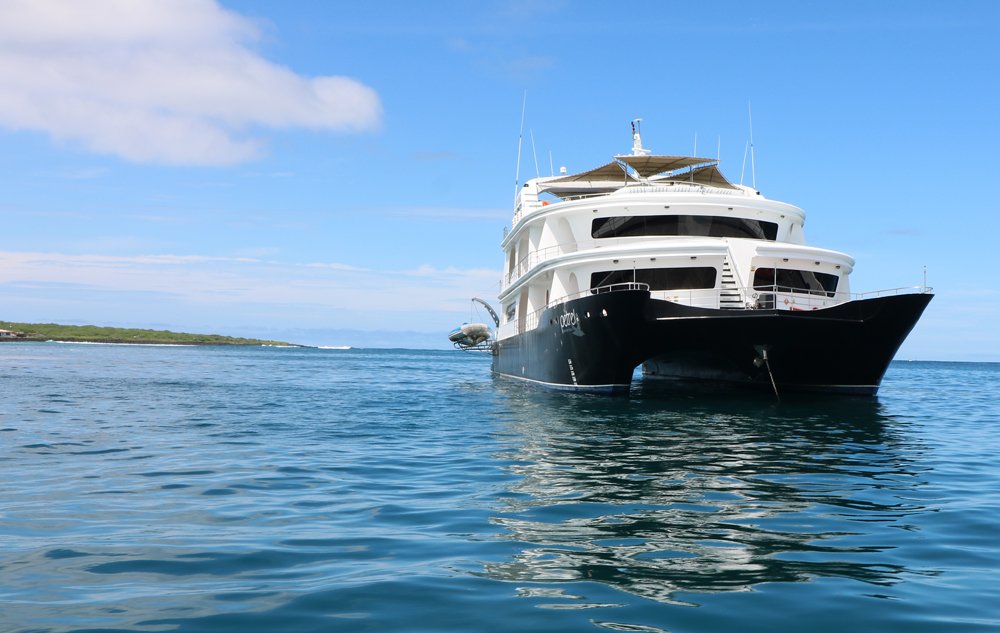 GALAPAGOS YACHT PROMOTIONS - UP TO $1,000 OFF SELECT DATES IN 2022 & 2023