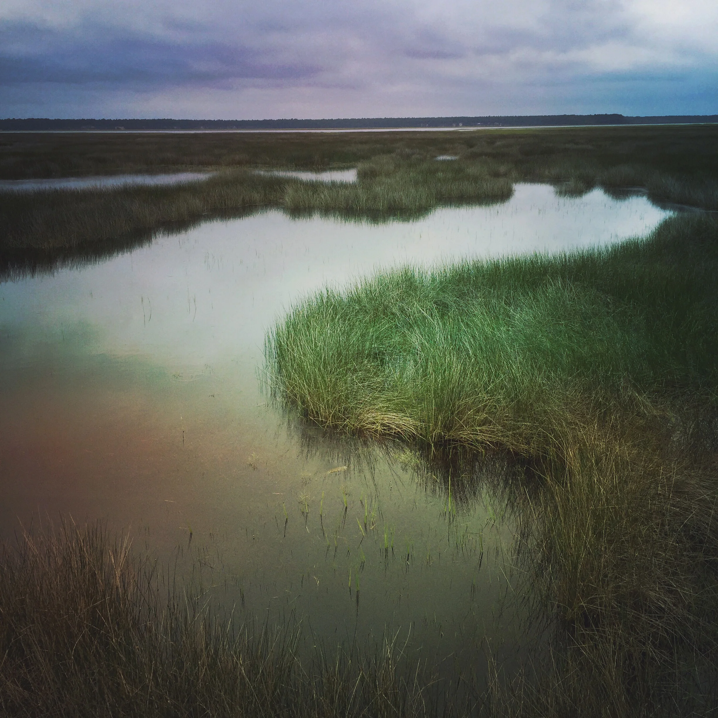 Swamp Sky.JPG