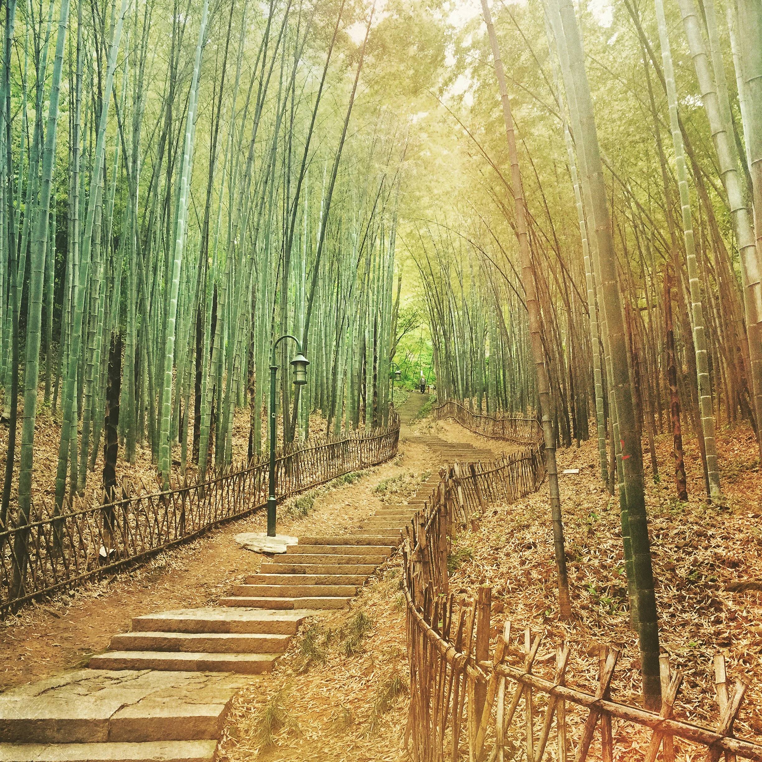 To Yellow Dragon Cave.JPG