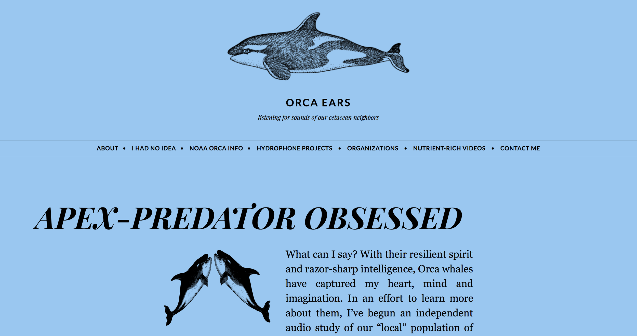 Orcaears.png