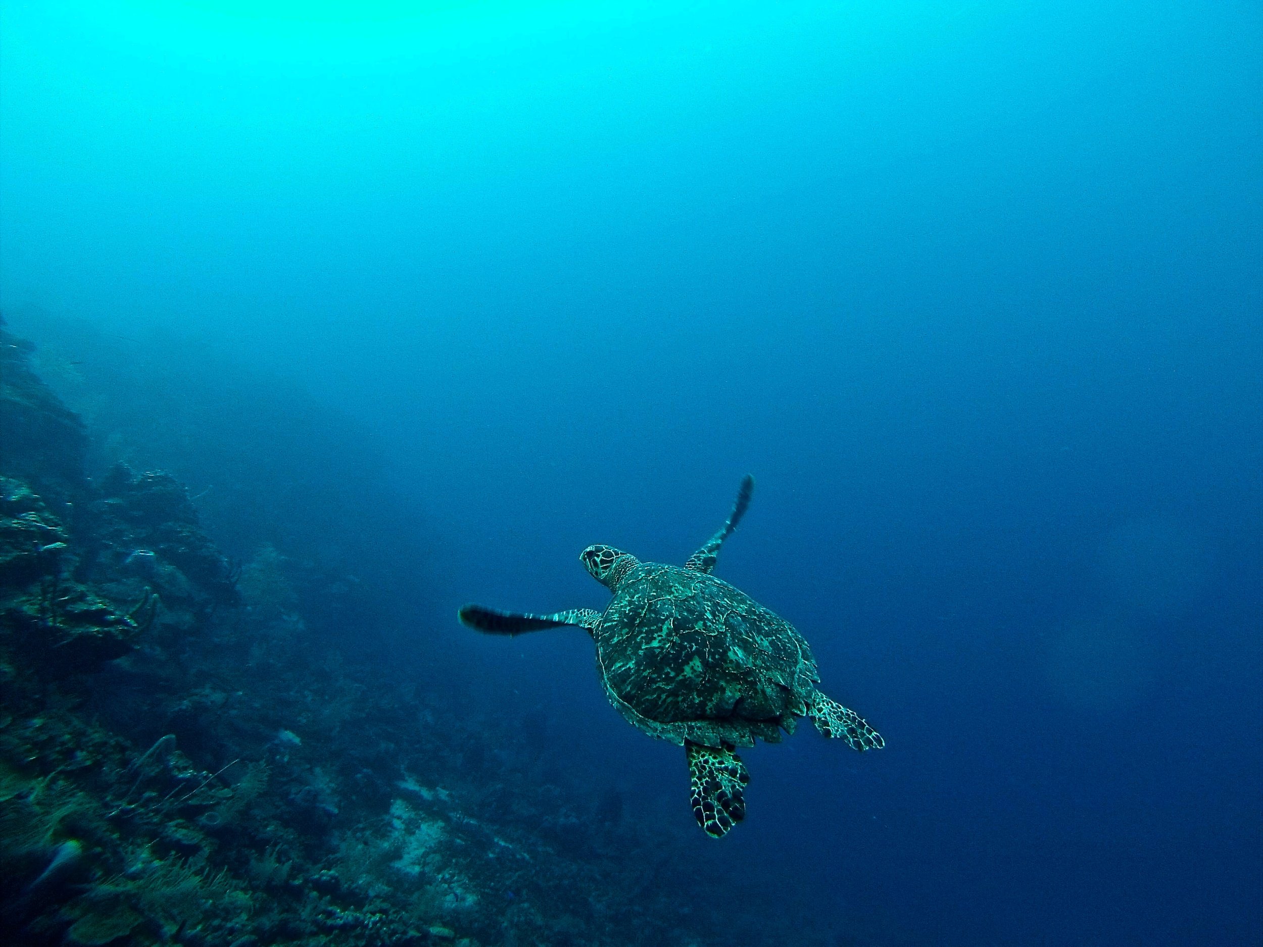 PCS to Hawaii | Military Families - Ocean