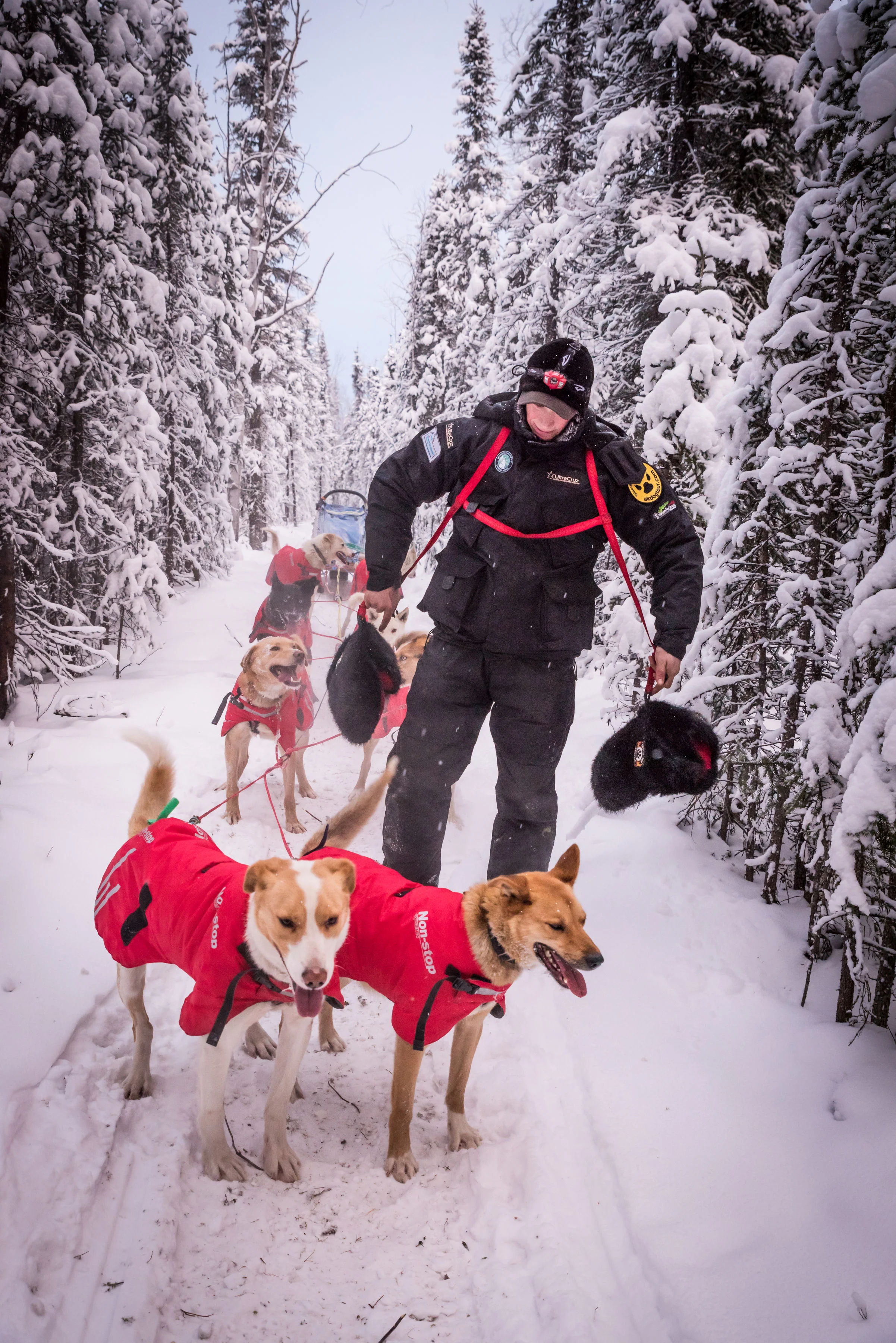 Mitt Attachment Harness — Boundary Fur Sewing