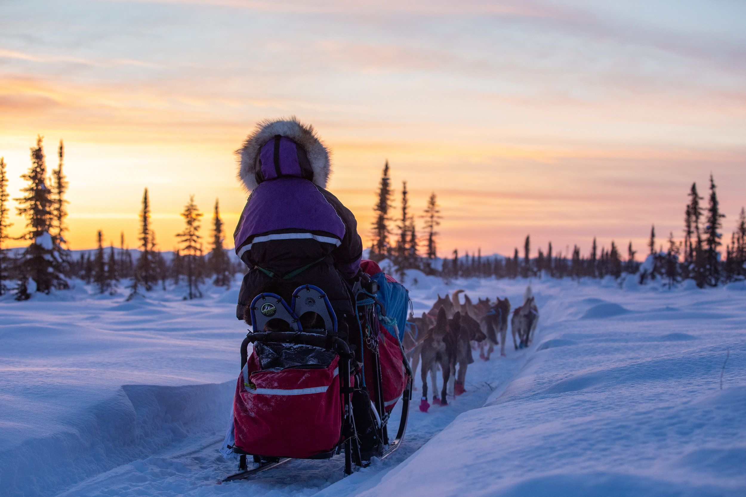 Circle-YukonQuest2019-JSchroder_20190209_D4_8352.jpg