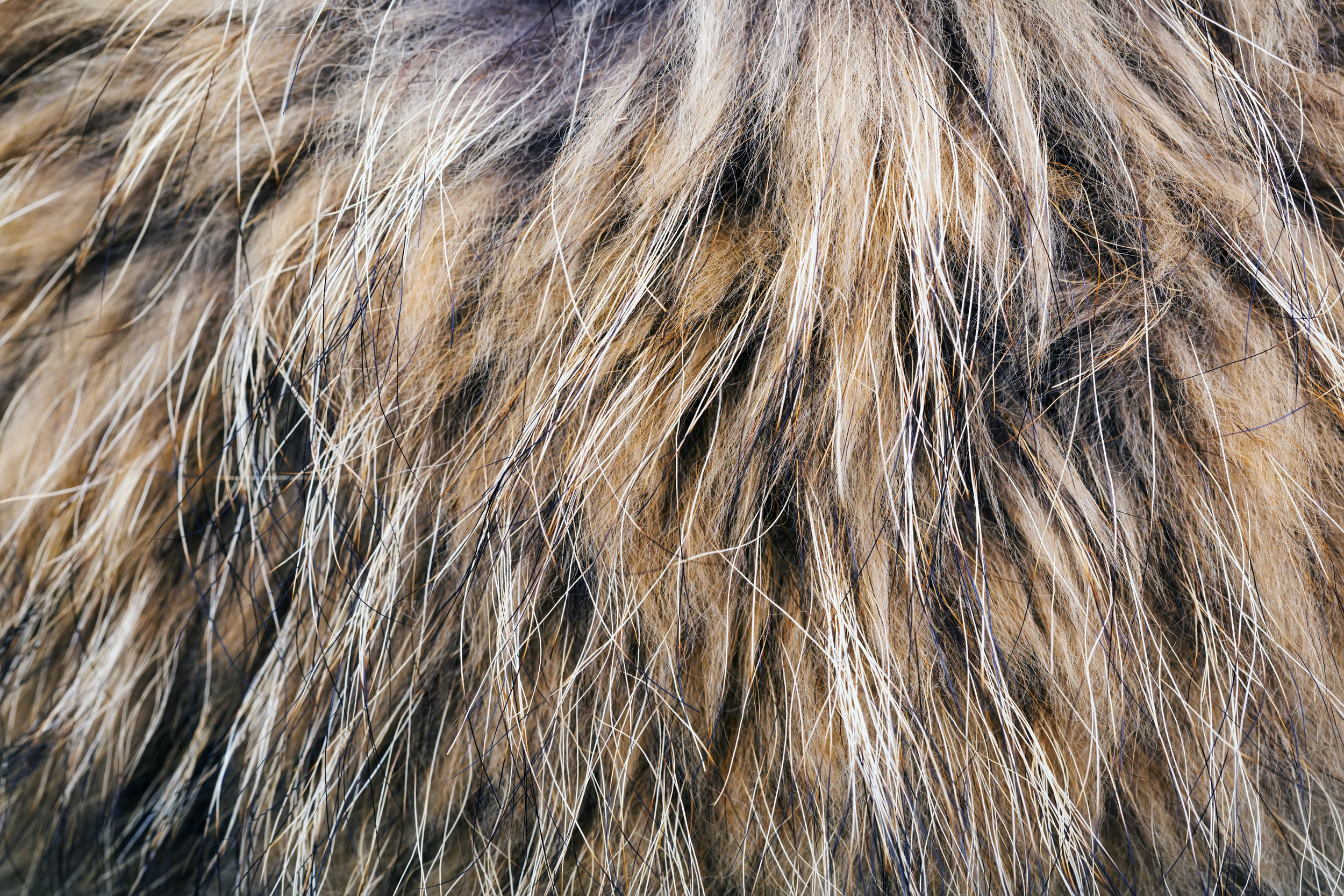 AdobeStock_167212971.jpeg
