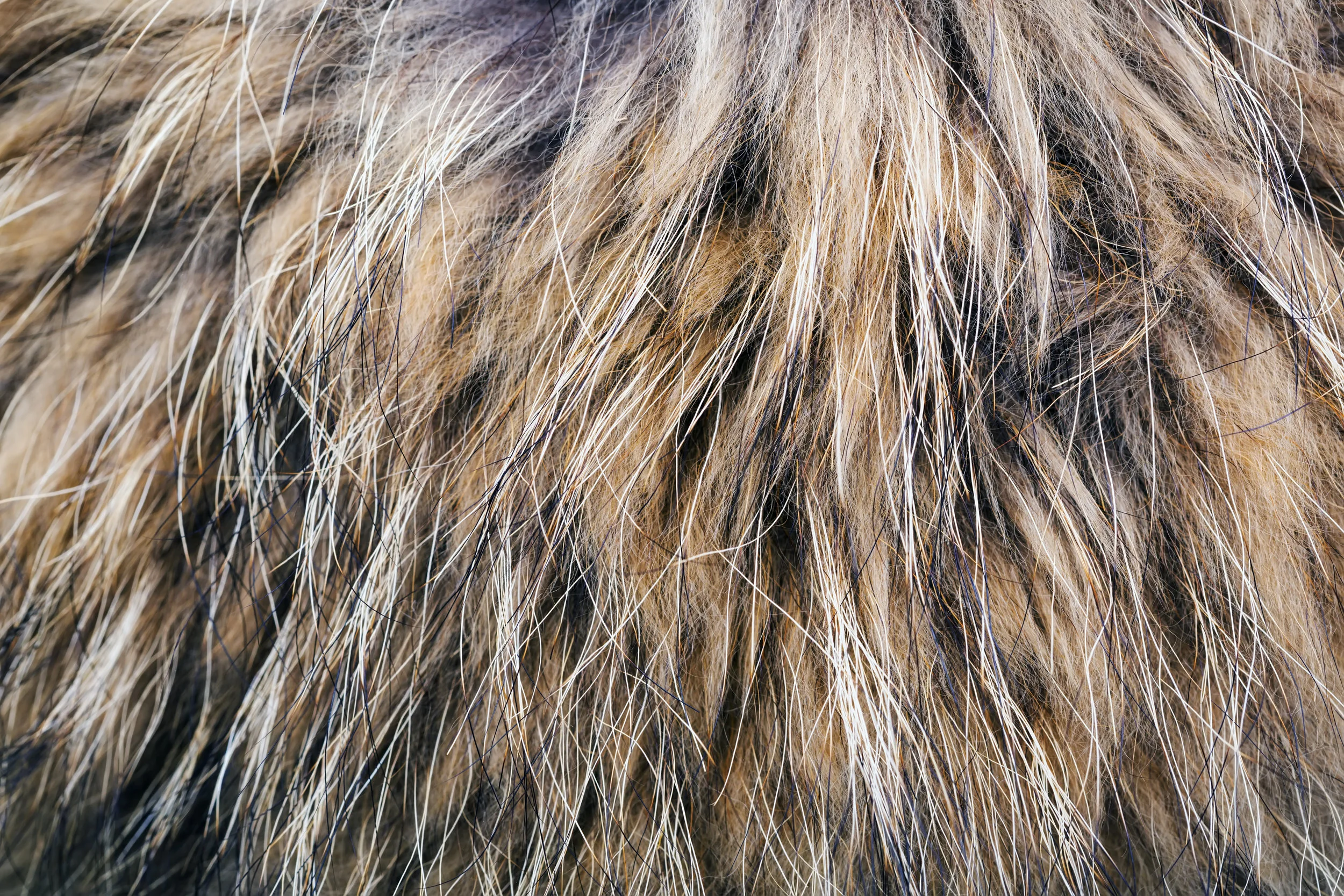 AdobeStock_167212971.jpeg