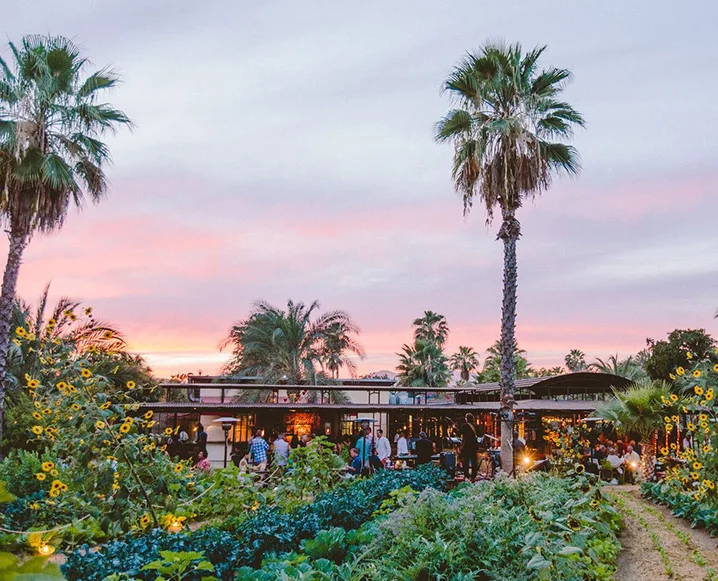 Flora Farms | Carretera Transpeninsular, Km. 30 Las Ánimas Bajas Tel: +52 624.142.1000 Rustic farm-to-table restaurant on a 25-acre working farm in the foothills of the Sierra de la Laguna Mountains. Expect some of the best pizza you’ll ever eat (besides The Nice Guy, of course) and an insane farm-to-glass cocktail list. Alex recommends picking up some of the homemade granola from their market for a great anytime snack. Car service is highly recommended; approximately 25-30 minutes from the Palmilla (but well worth it!)