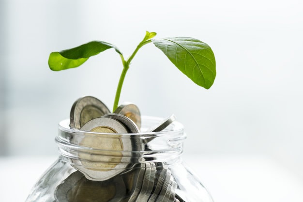 tree-money.jpg