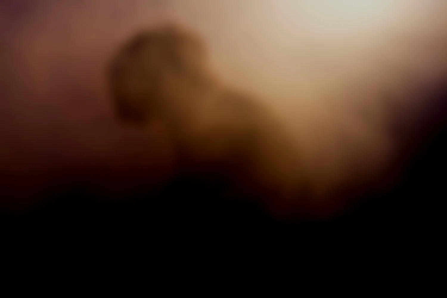 EbruYildiz_325_edit.jpg