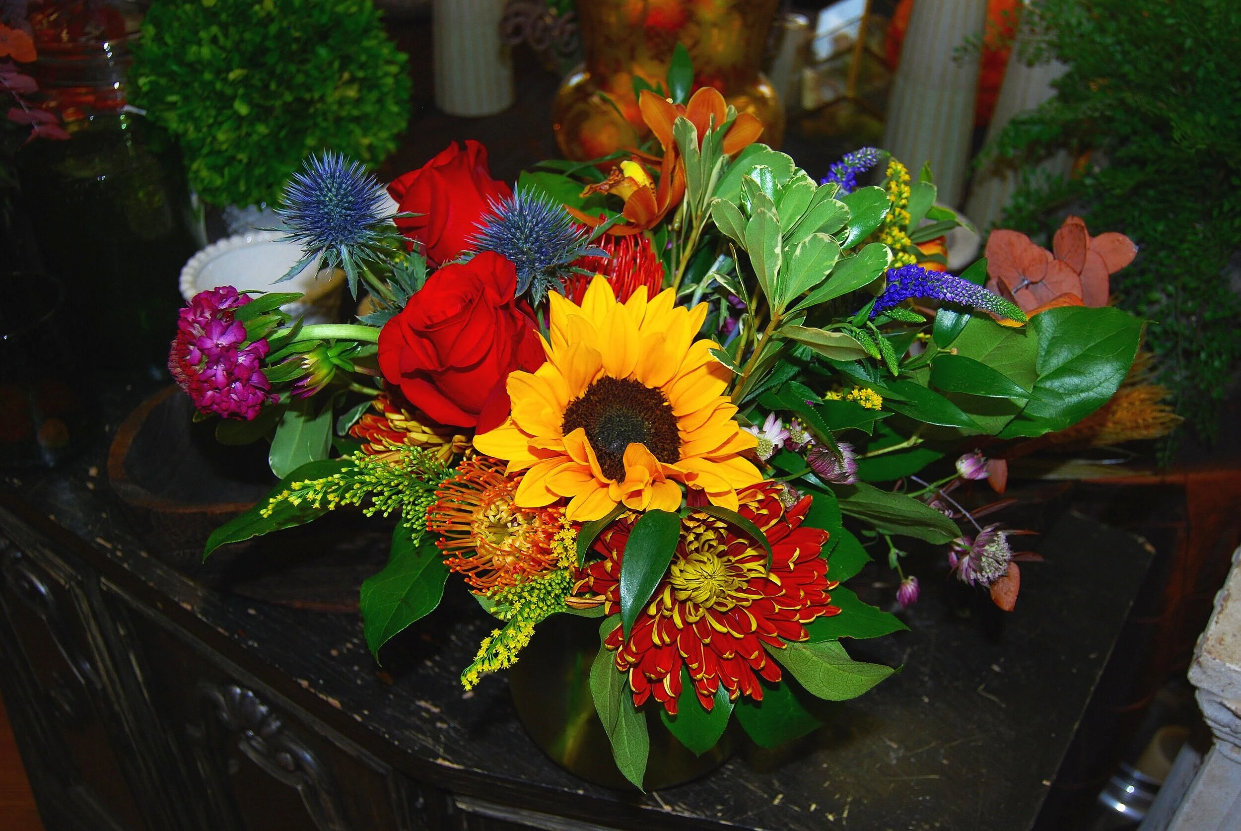 DSC_0237.jpg