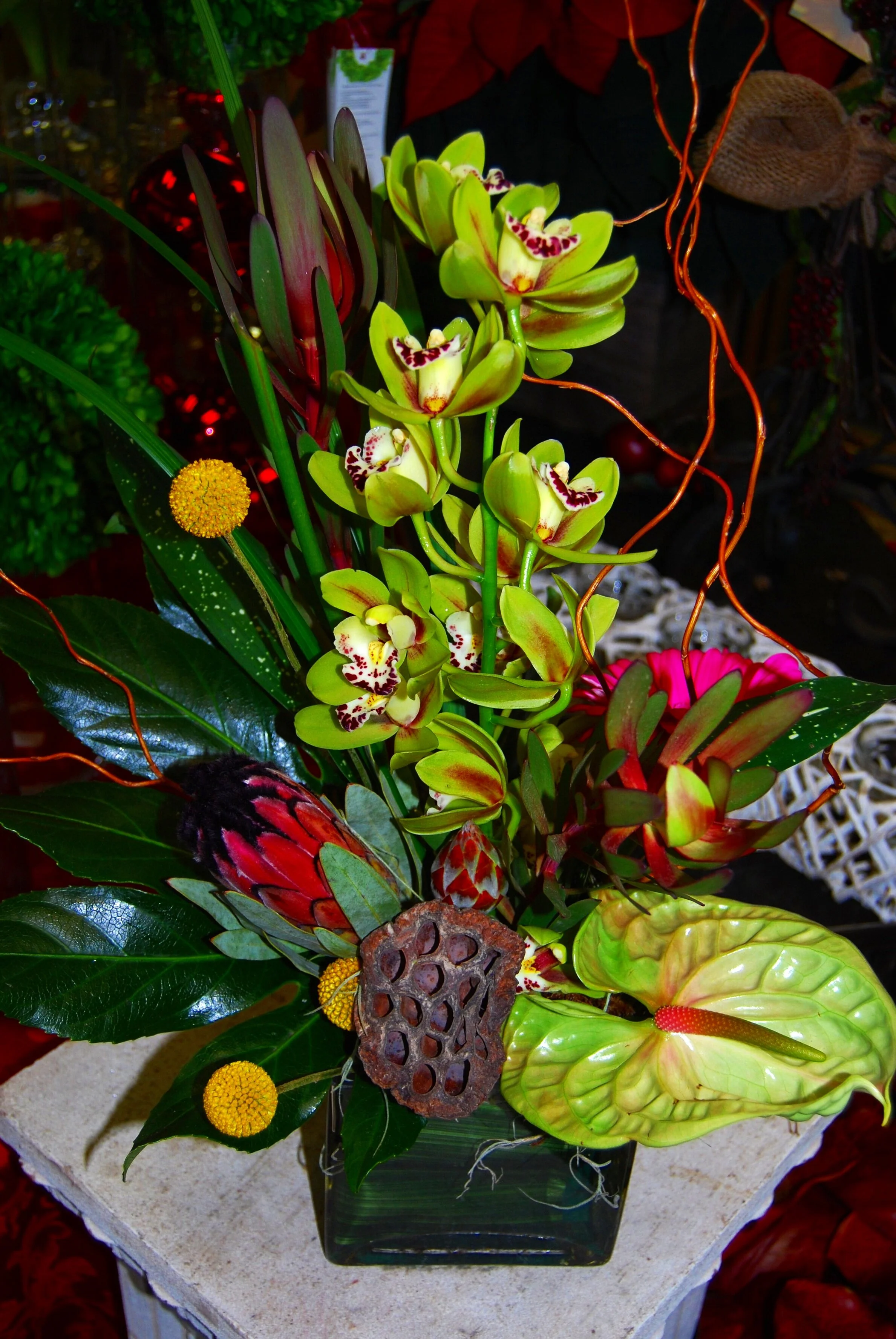Exotic Beauty