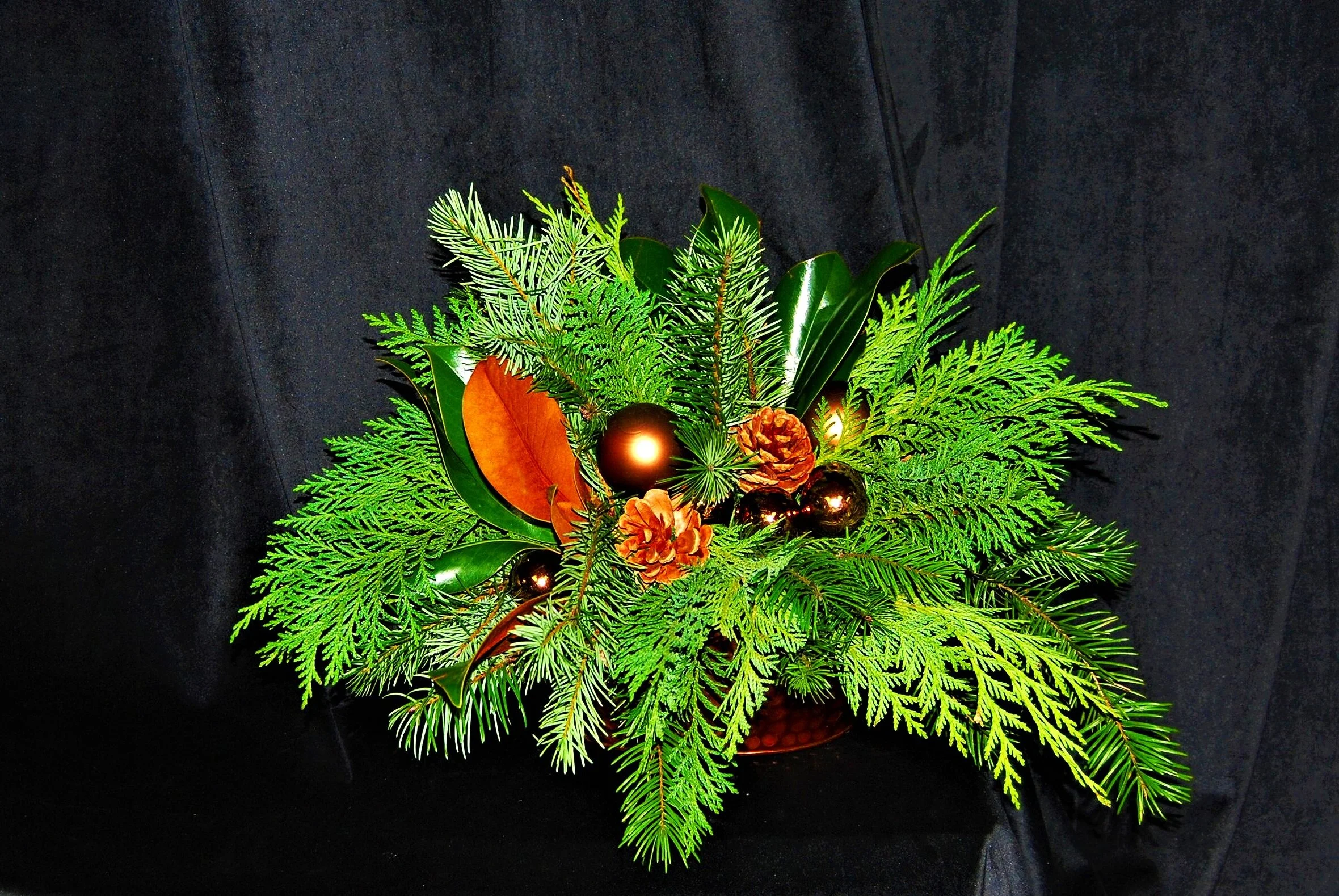 Woodland Christmas Holiday