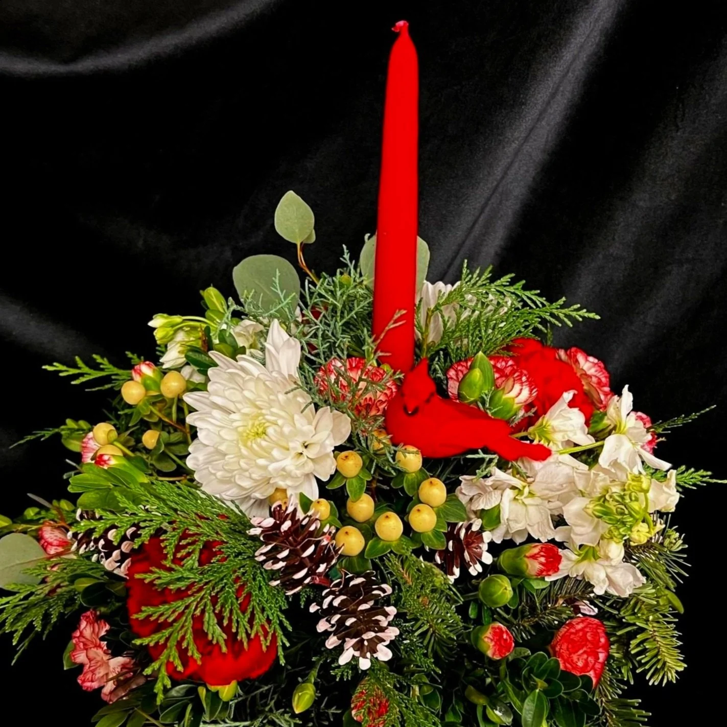 IMG_6686.jpg