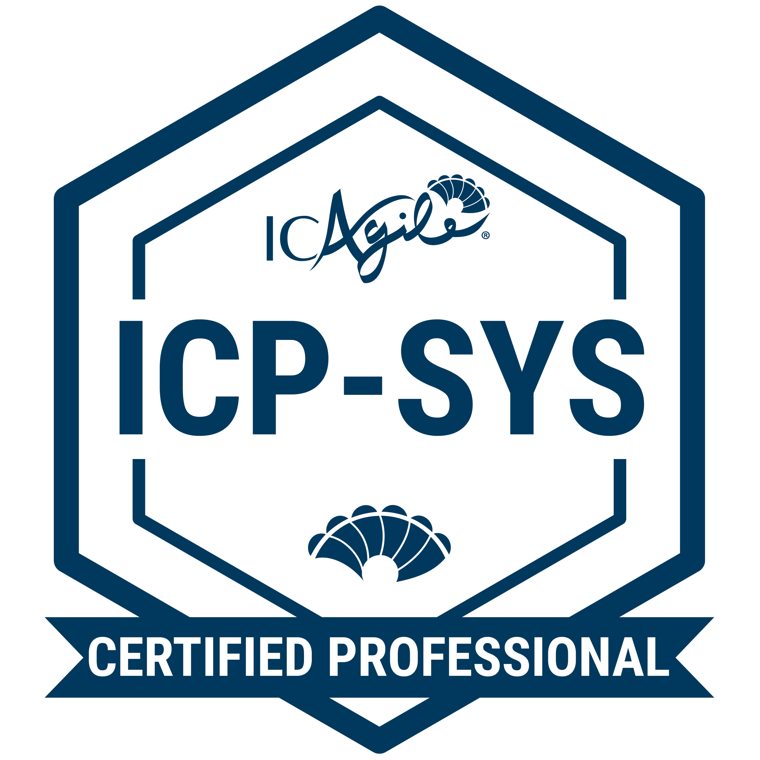 ICP-SYS.png