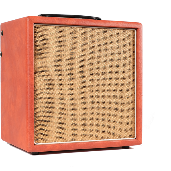 Songwriter 30 Acoustic Amp