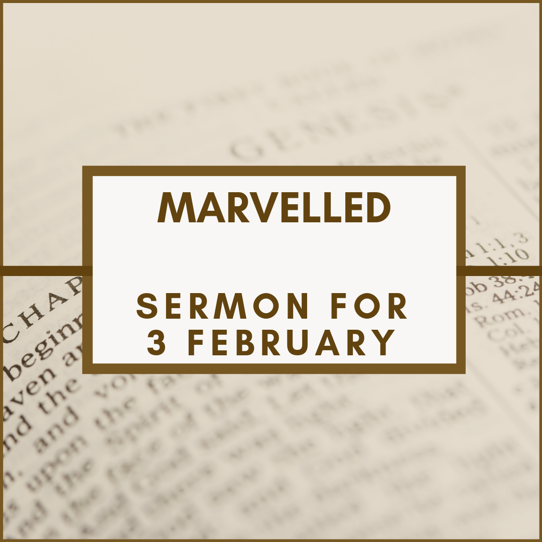 Marvelled