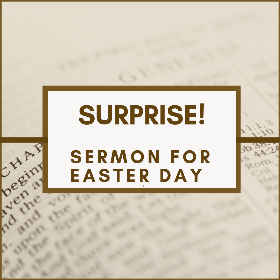 Surprise! 