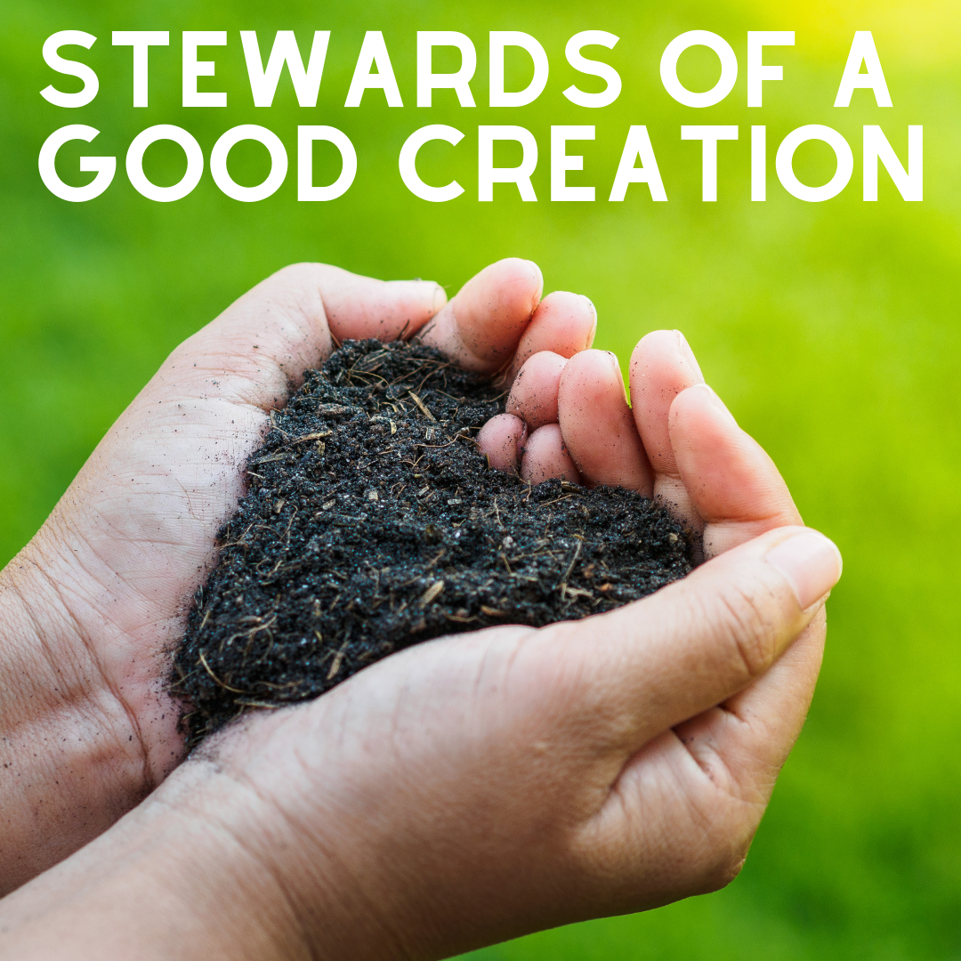 Stewards of creation.png