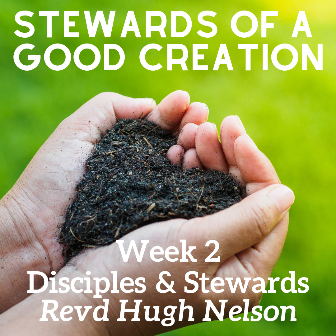 Disciples and stewards