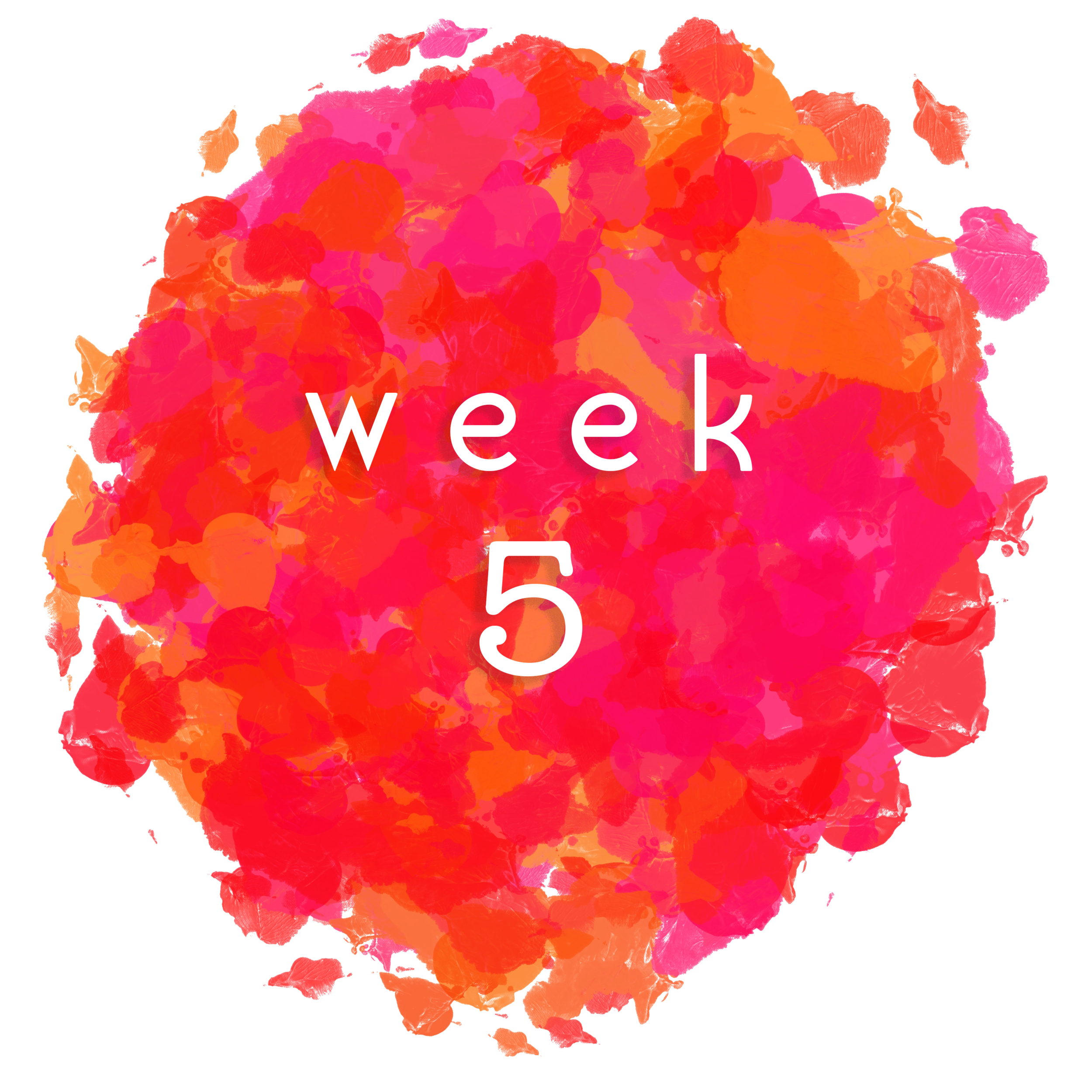 week5.png