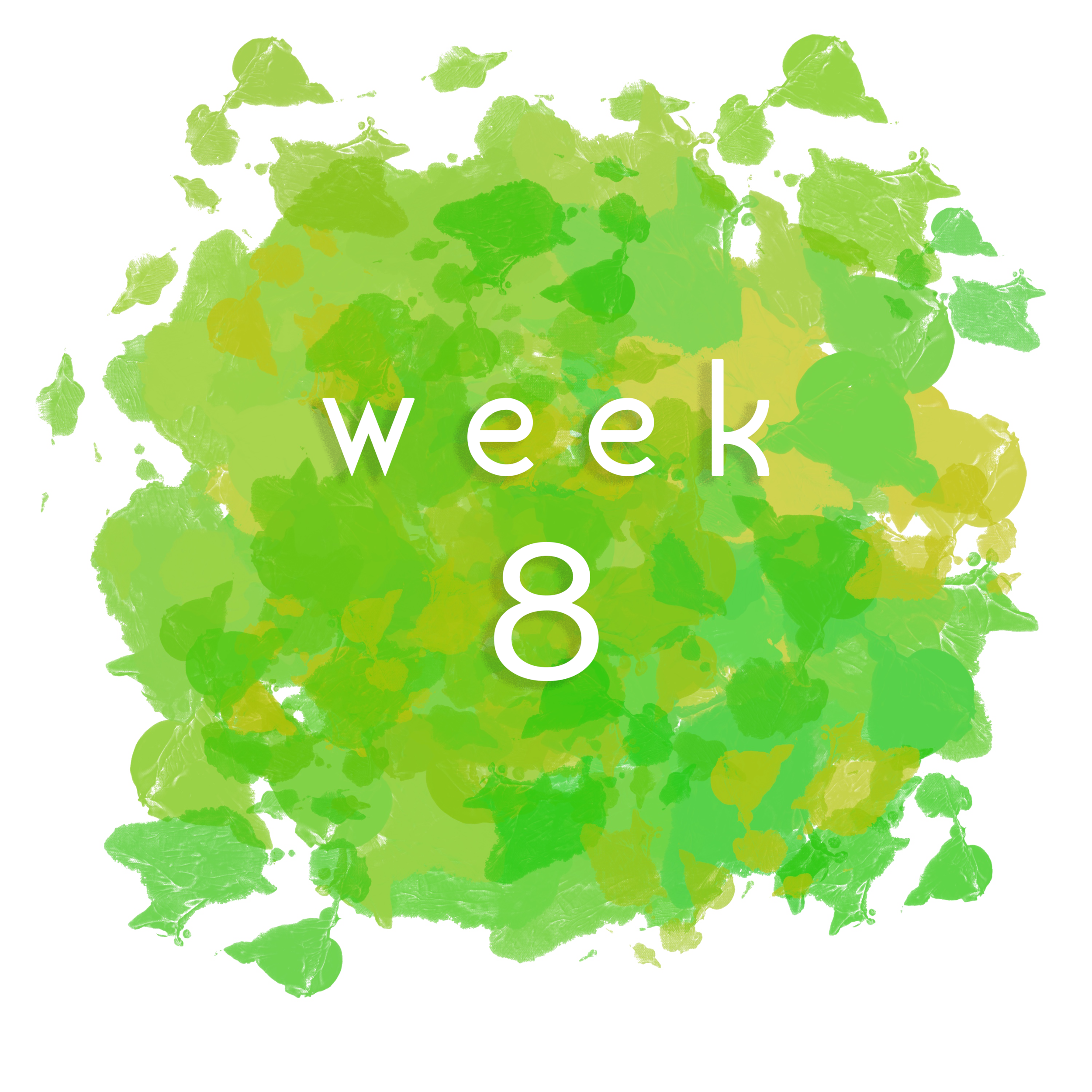 week8.png