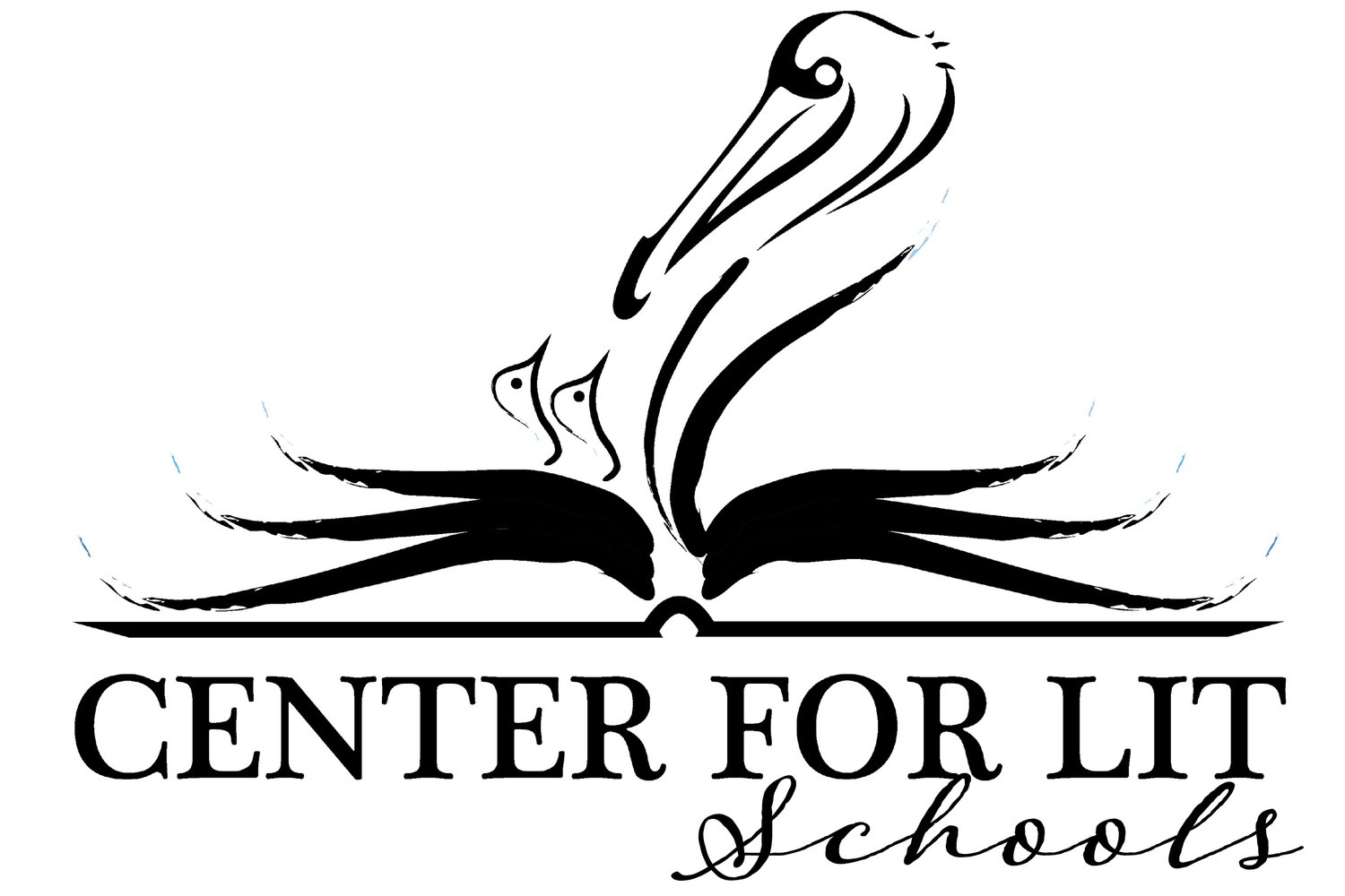 CenterForLit Schools