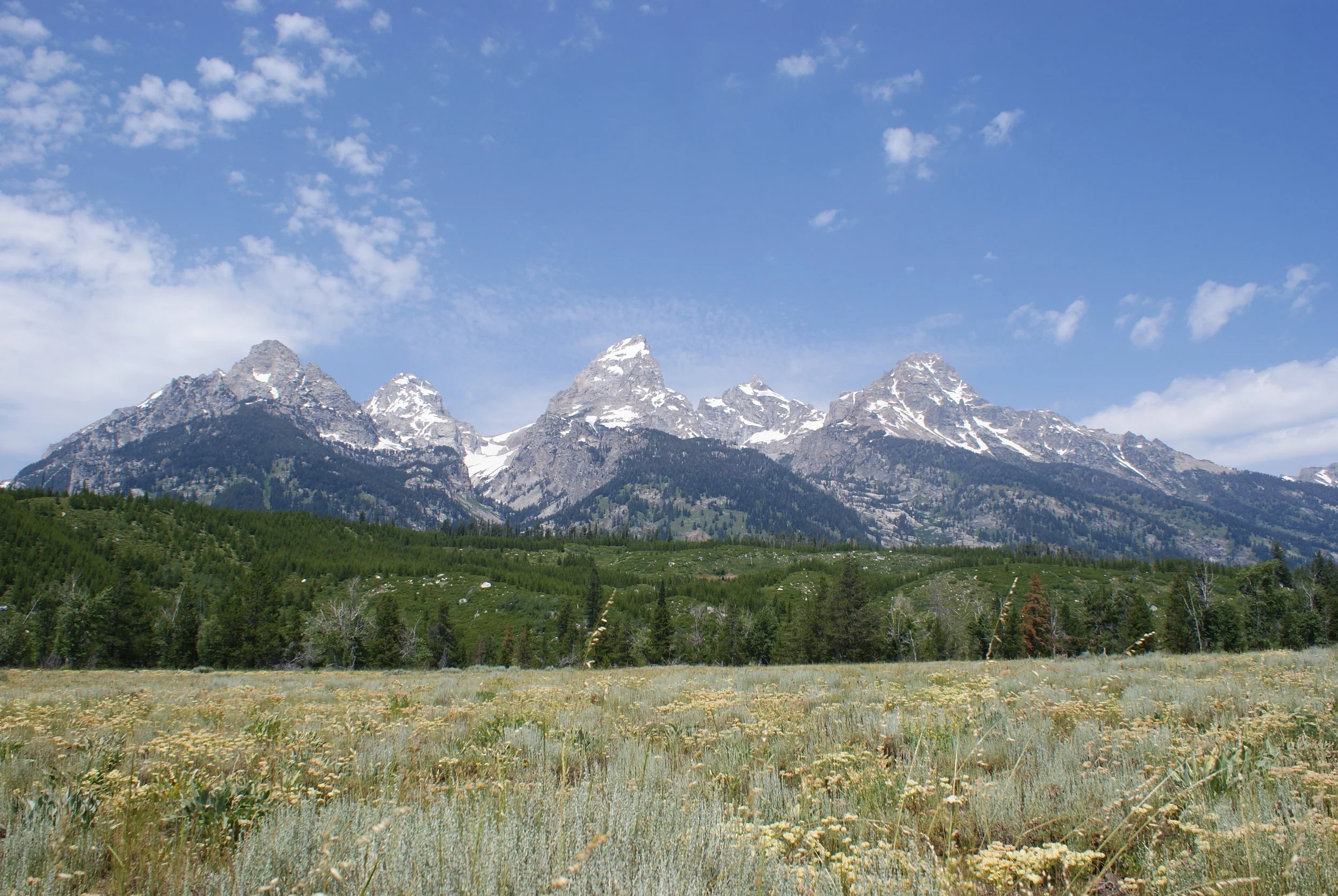 DSC00201.jpg