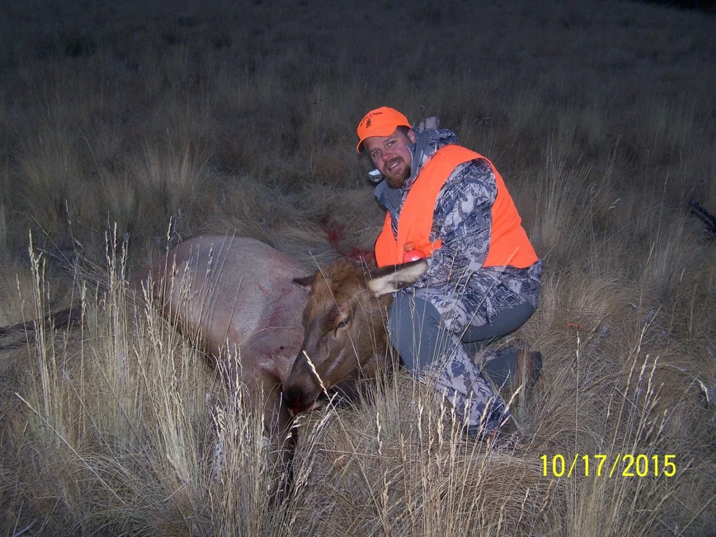 102_1658 (Large).JPG