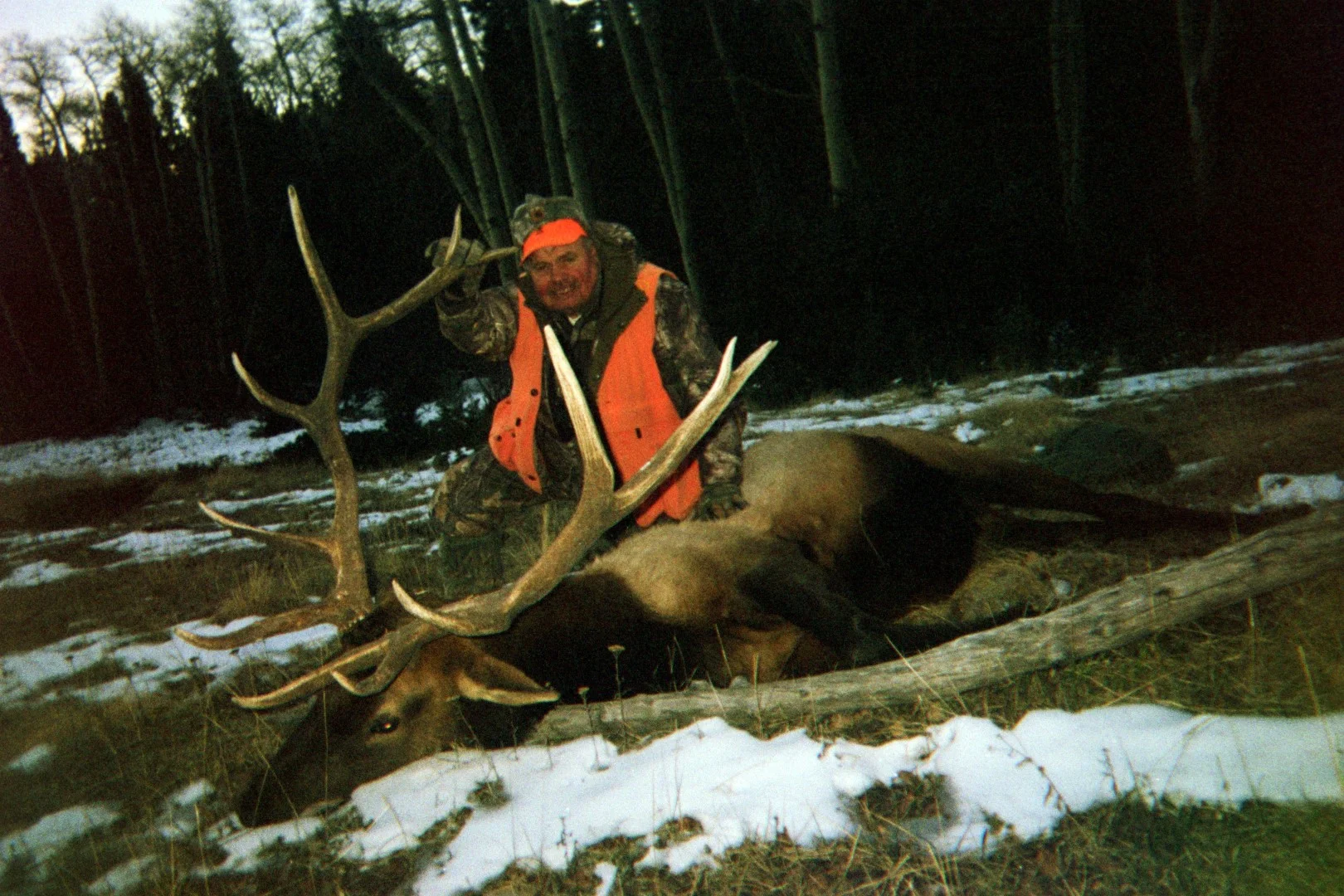 549393316 (Large).jpg