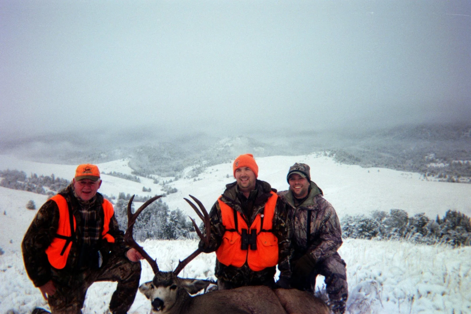 549393320 (Large).jpg