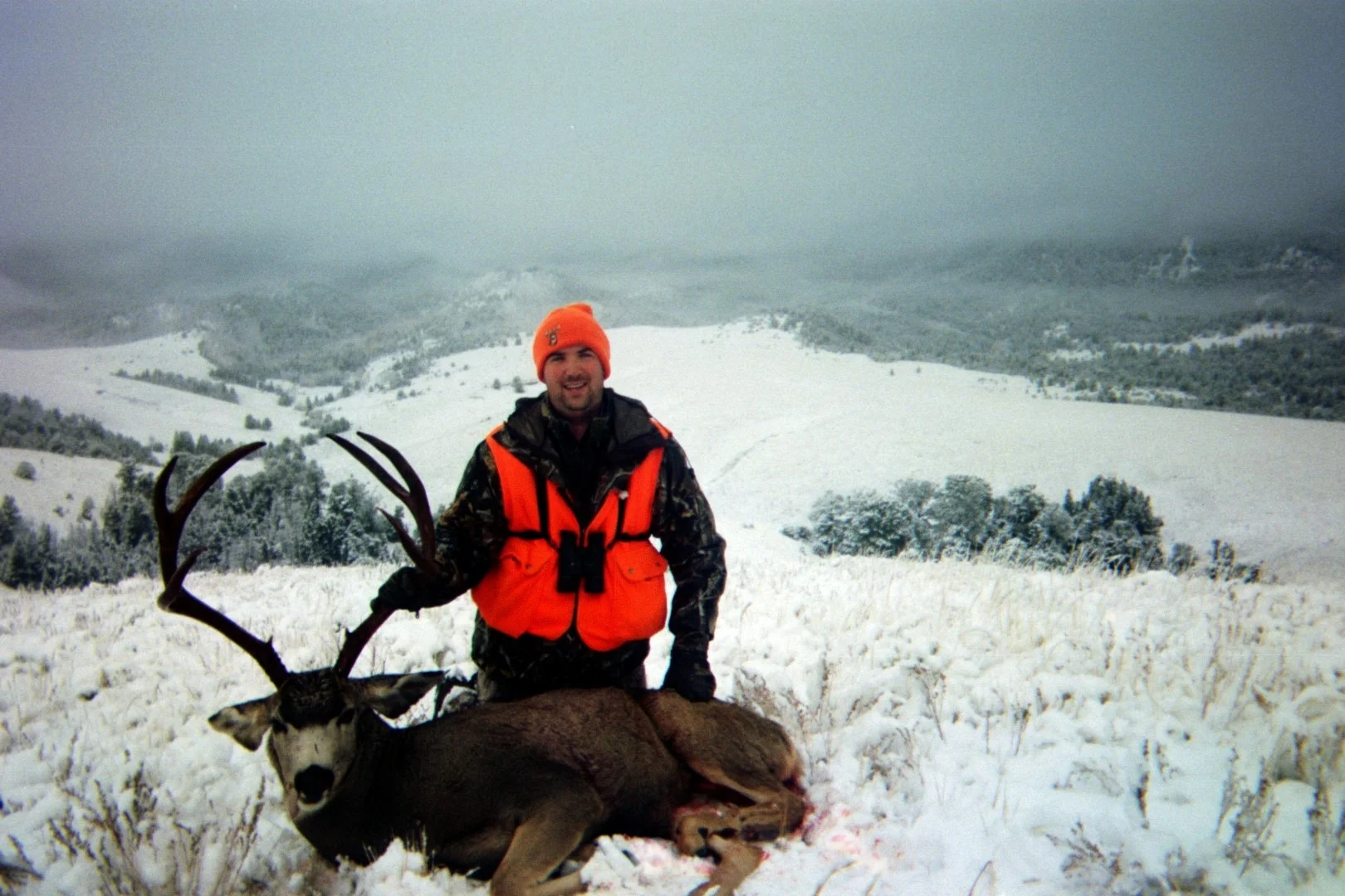 549393321 (Large).jpg