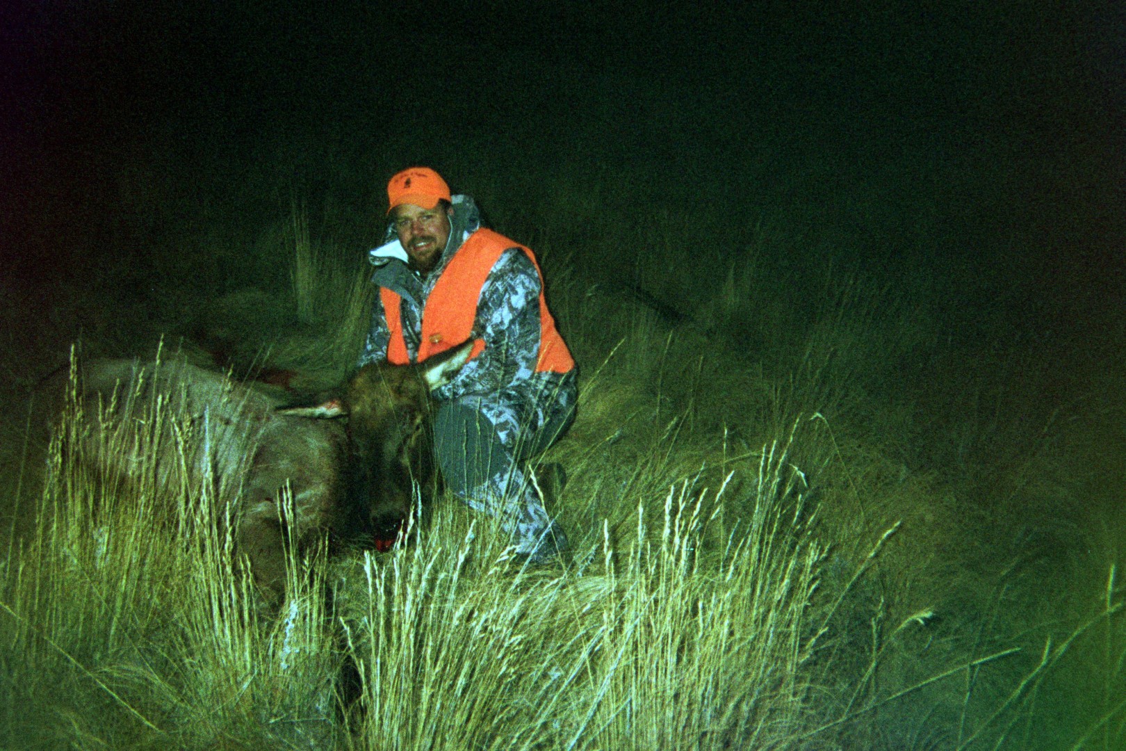 549393325 (Large).jpg