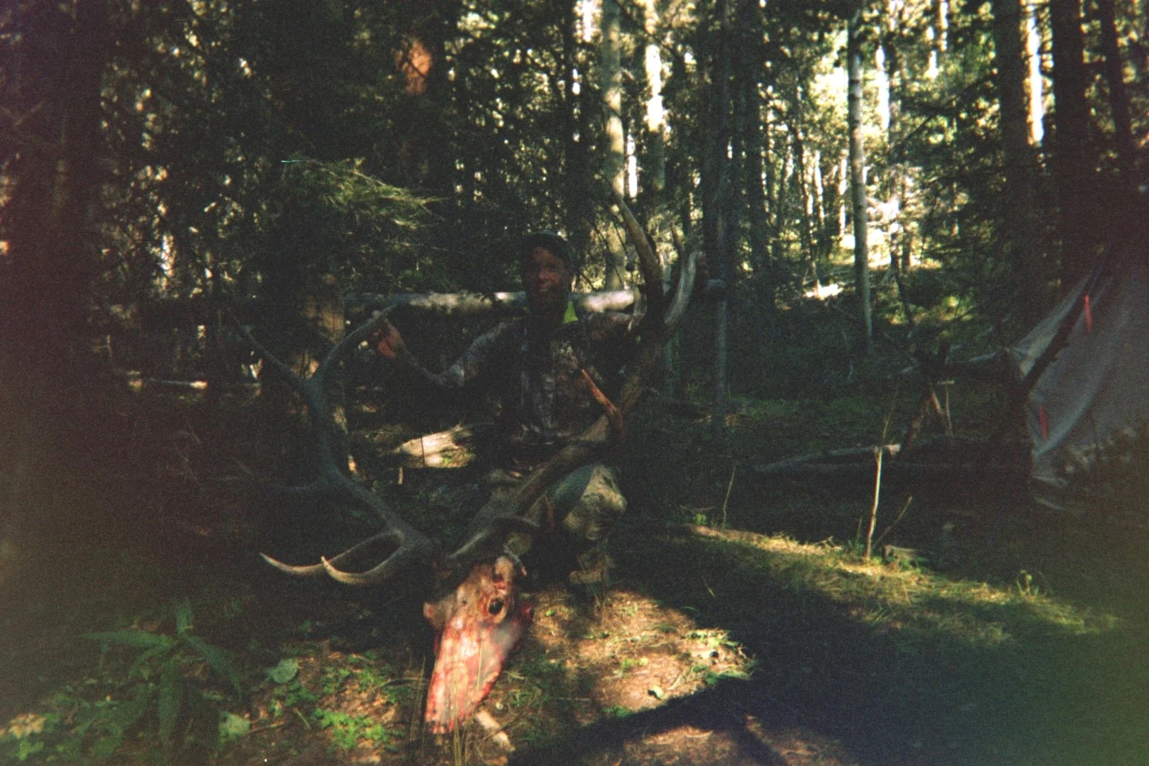 549393331 (Large).jpg