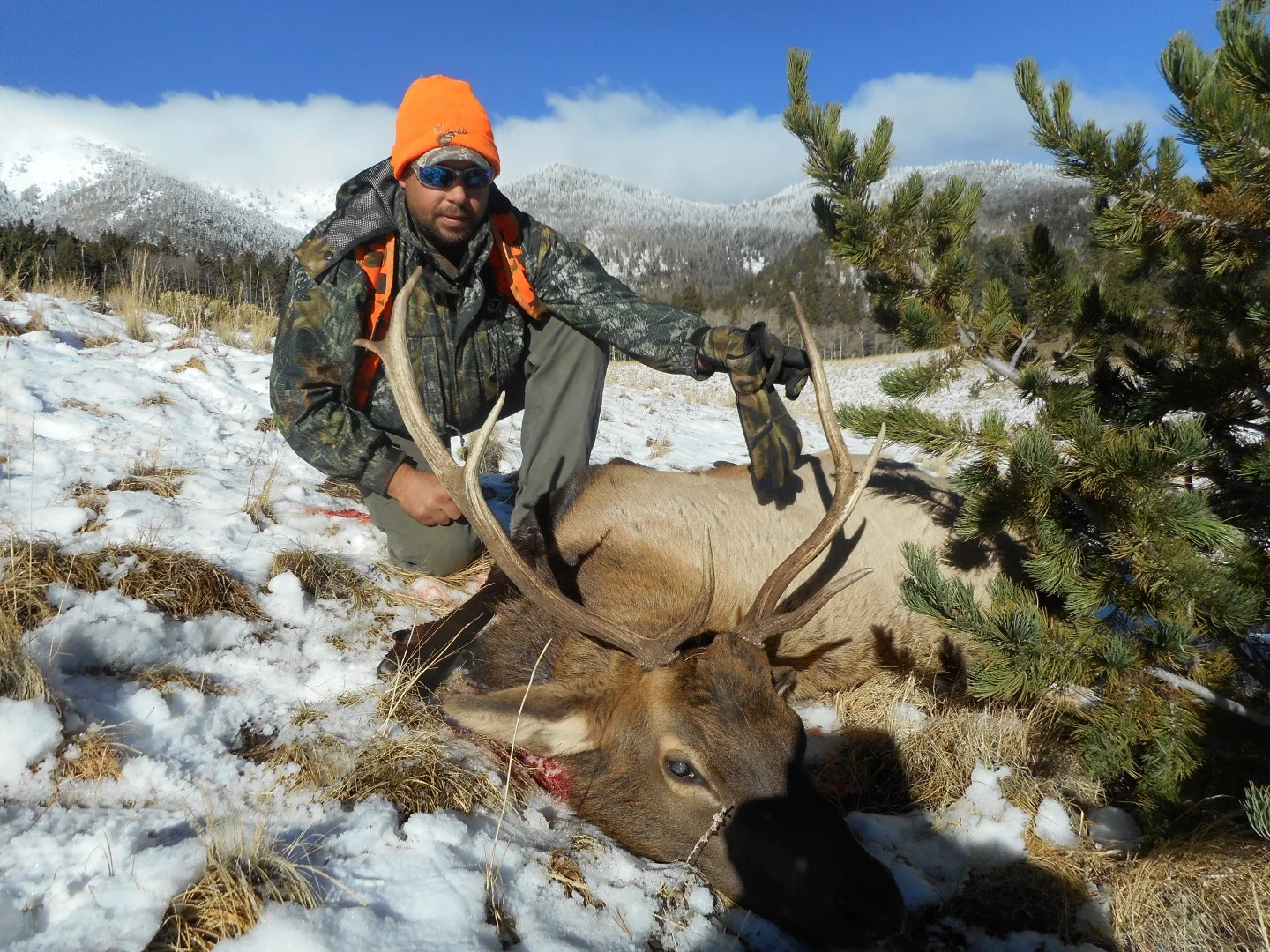 DSCN0181 (Large).JPG