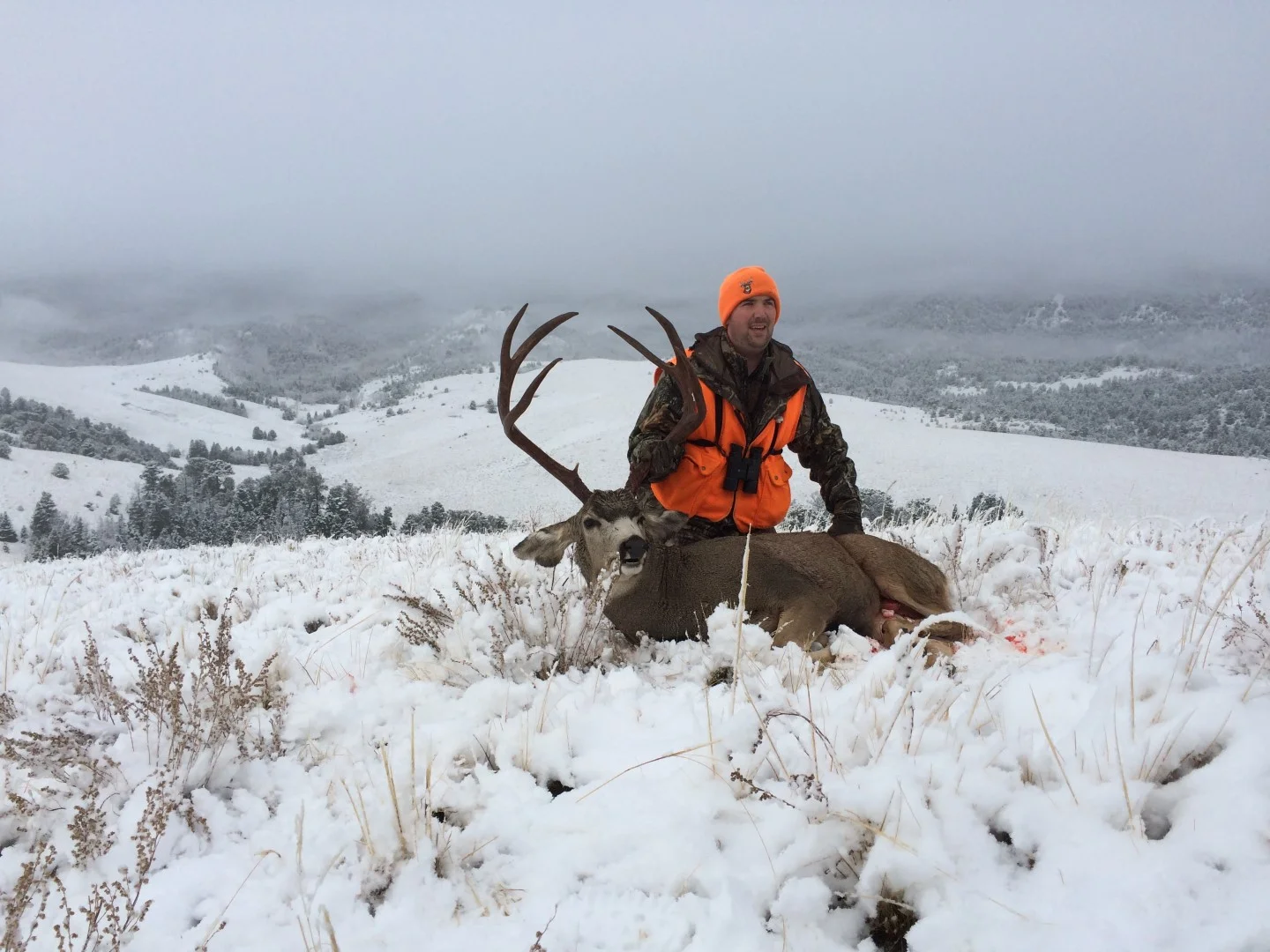 IMG_0374 (Large).JPG