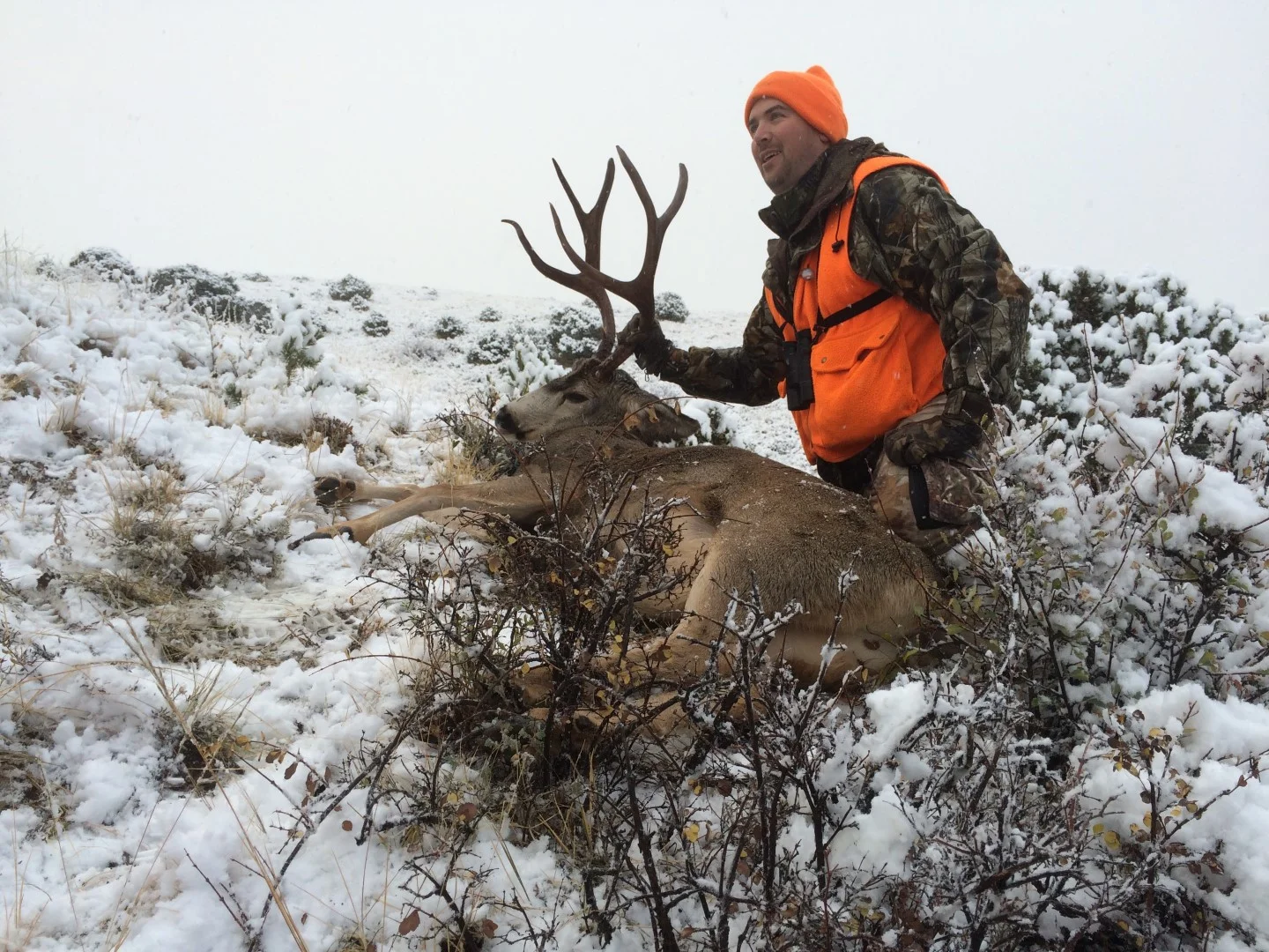 IMG_0372 (Large).JPG