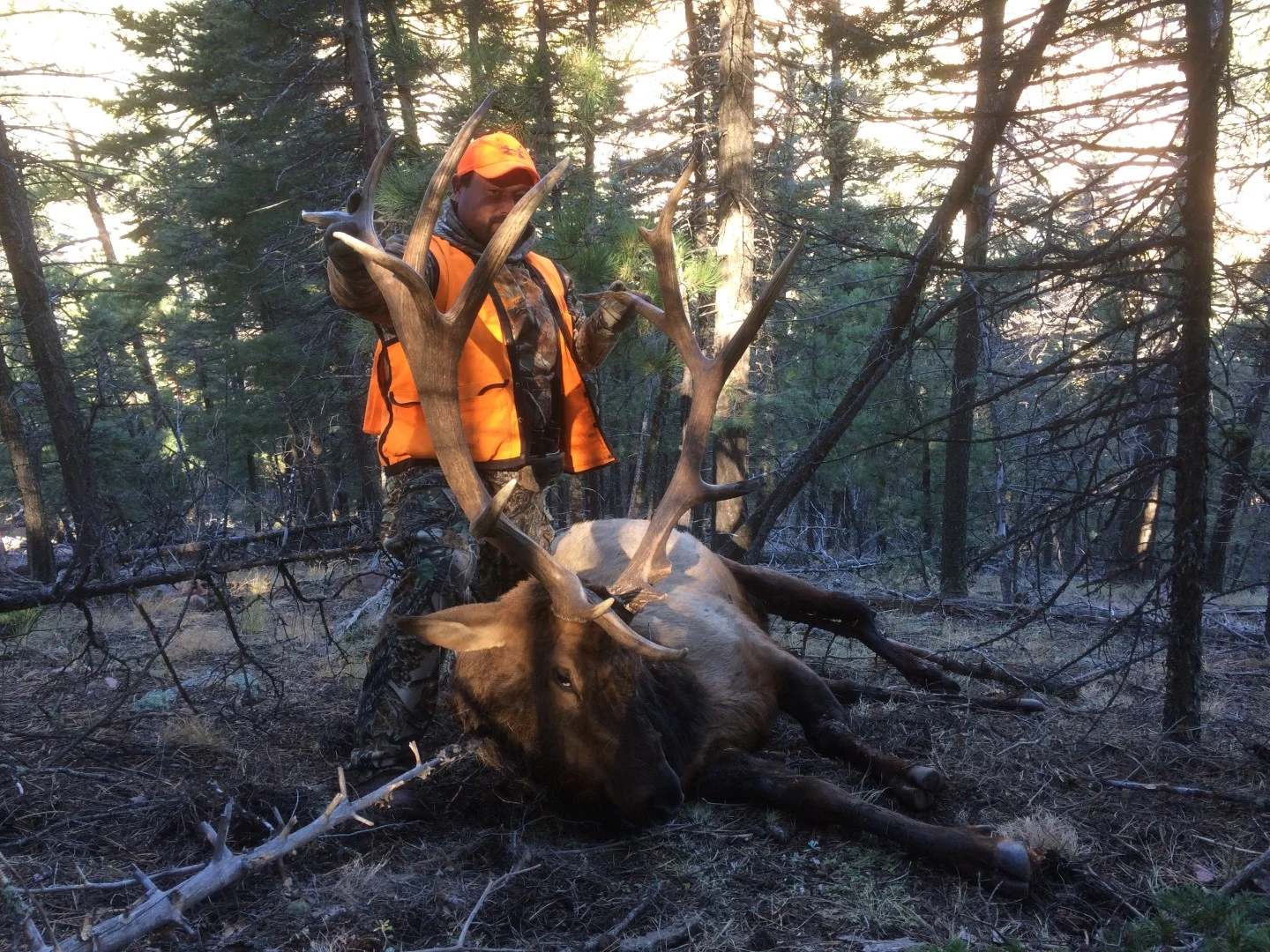 IMG_0376 (Large).JPG