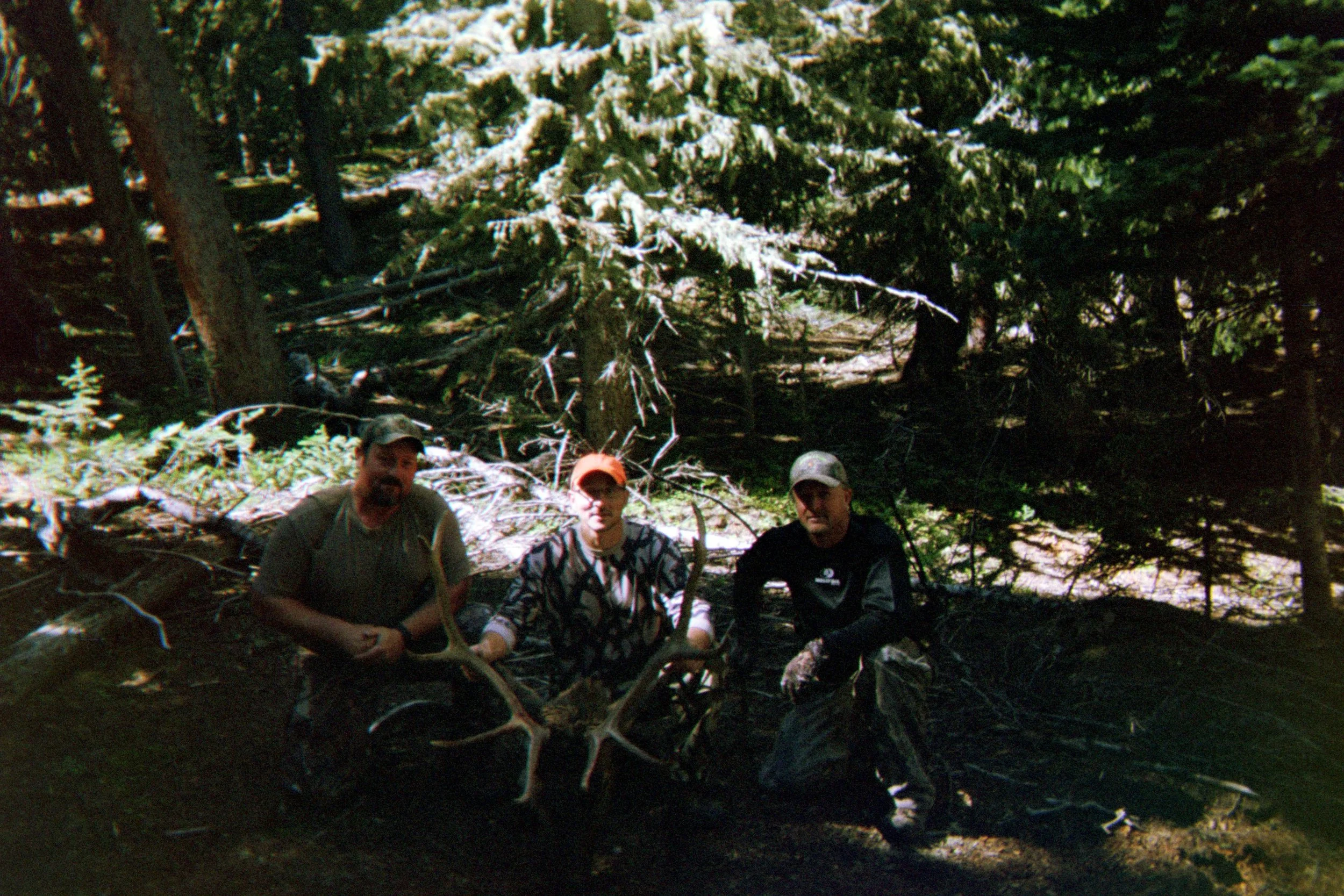 009_17a.jpg