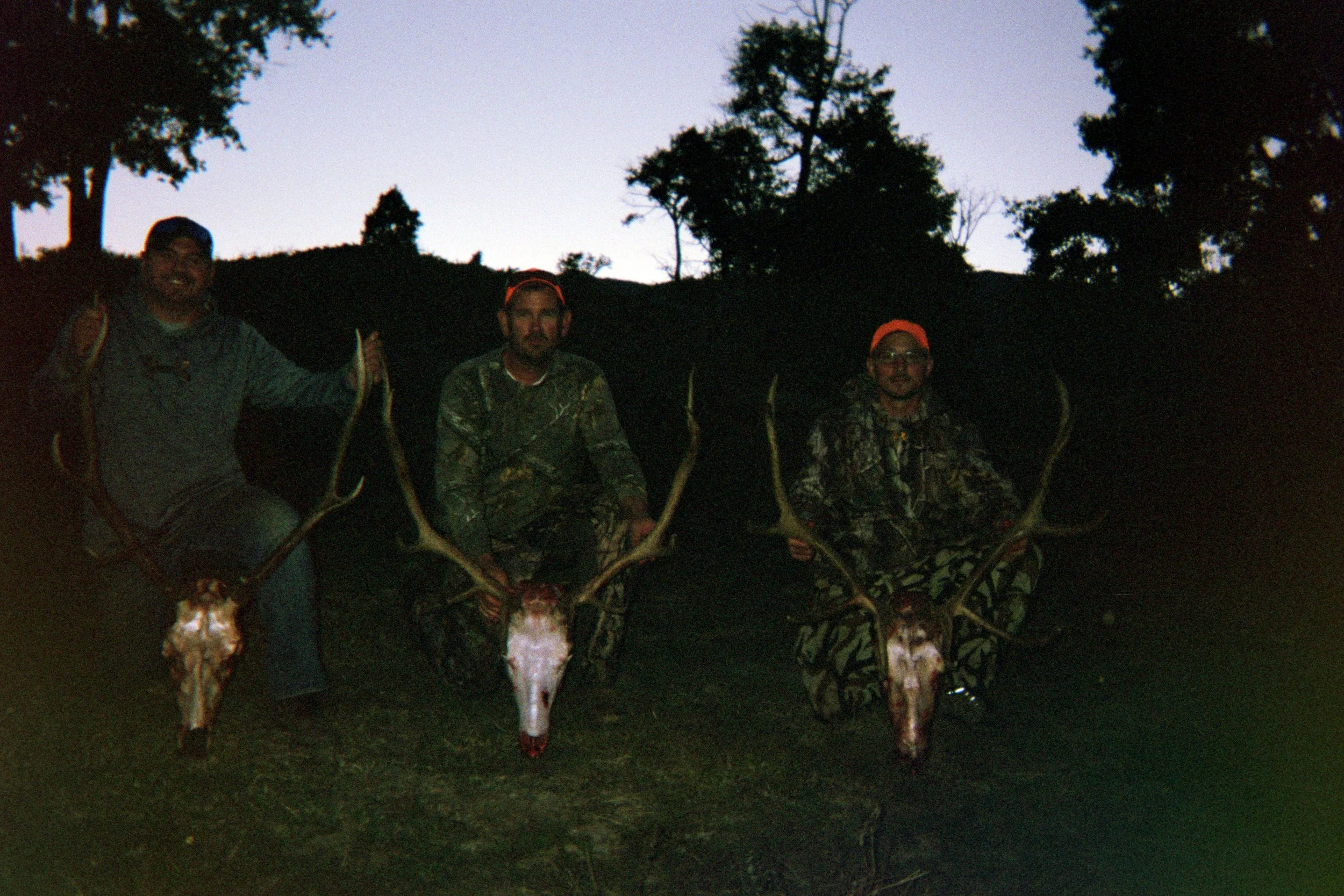 015_11a.jpg