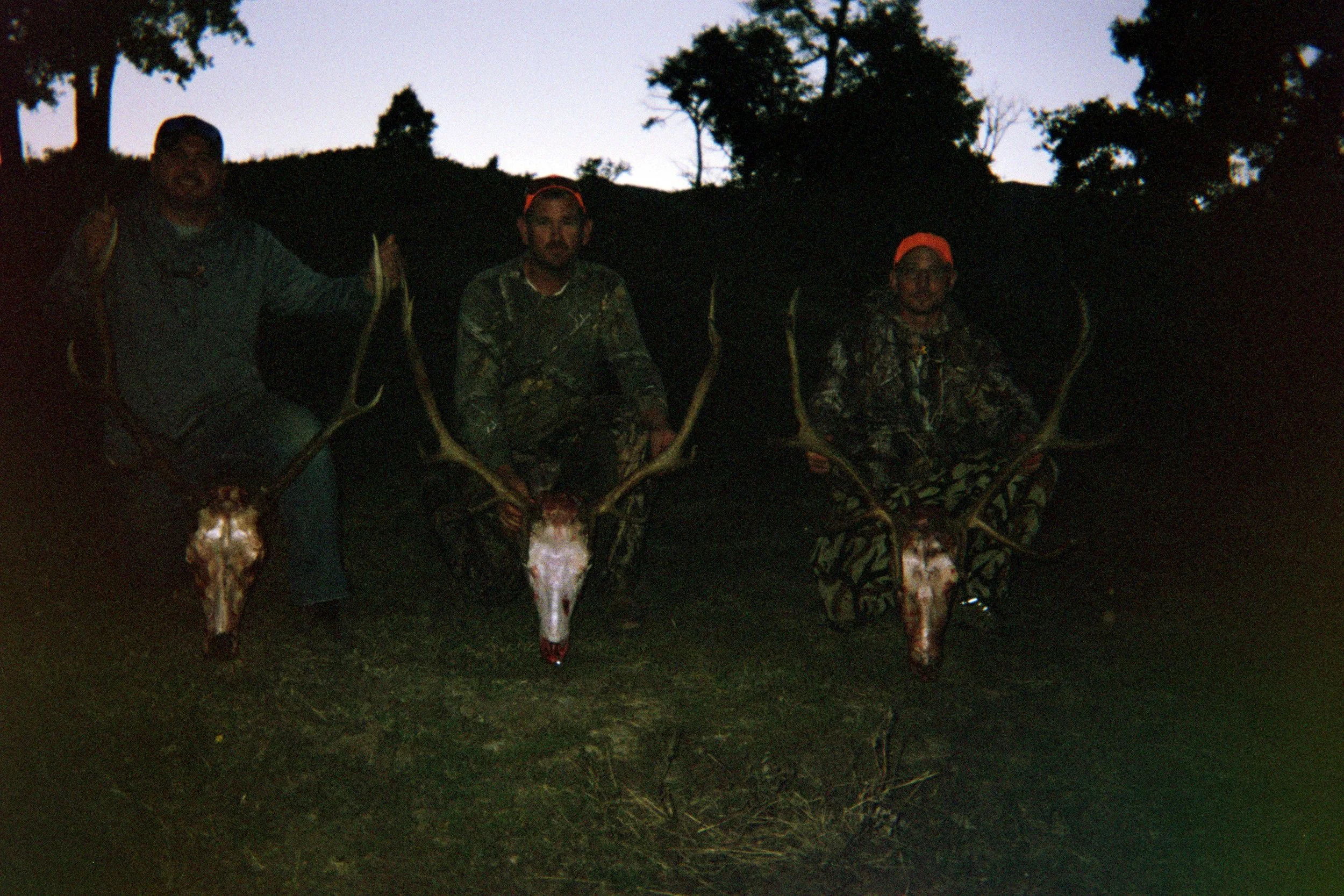 014_12a.jpg