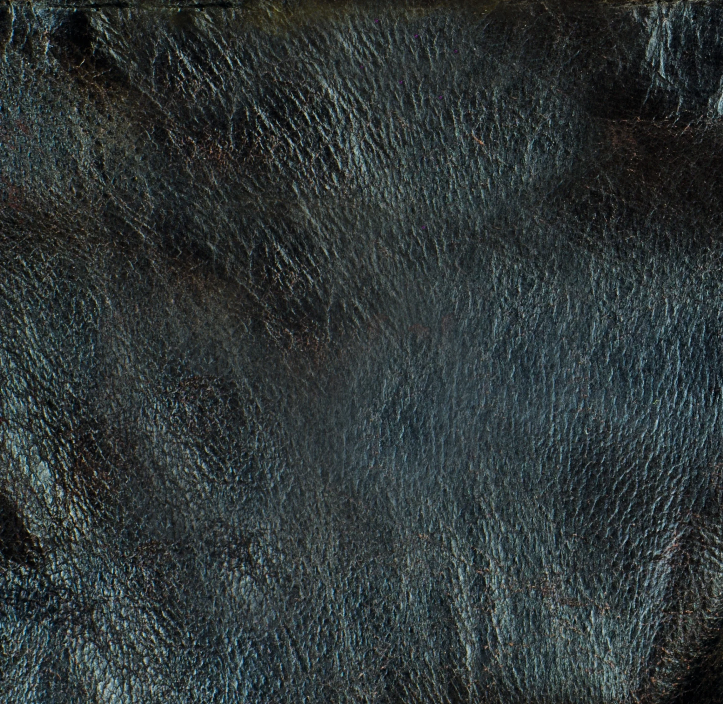 back-20181001-nologo.jpg