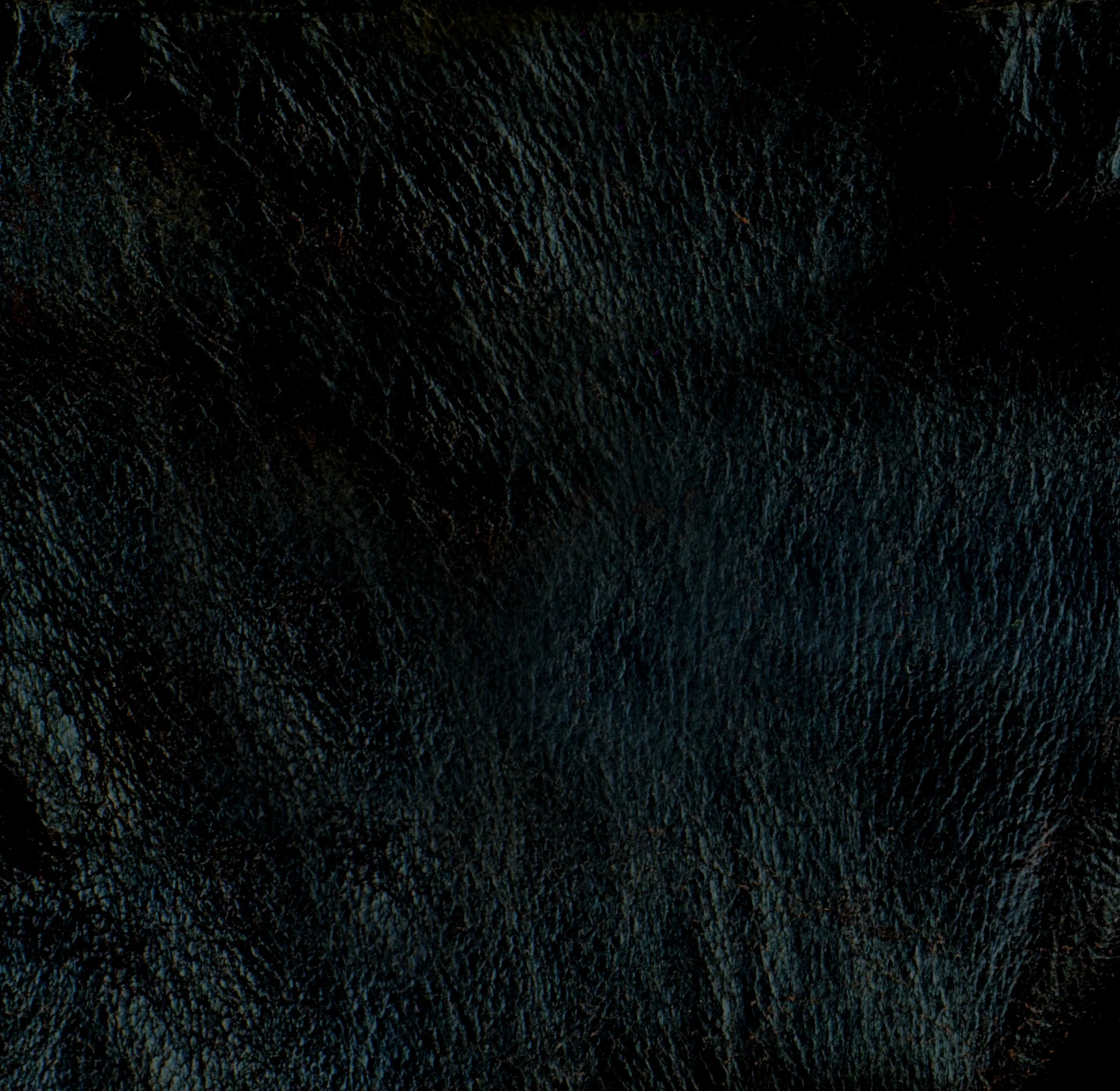 back-20181001-nologo.jpg