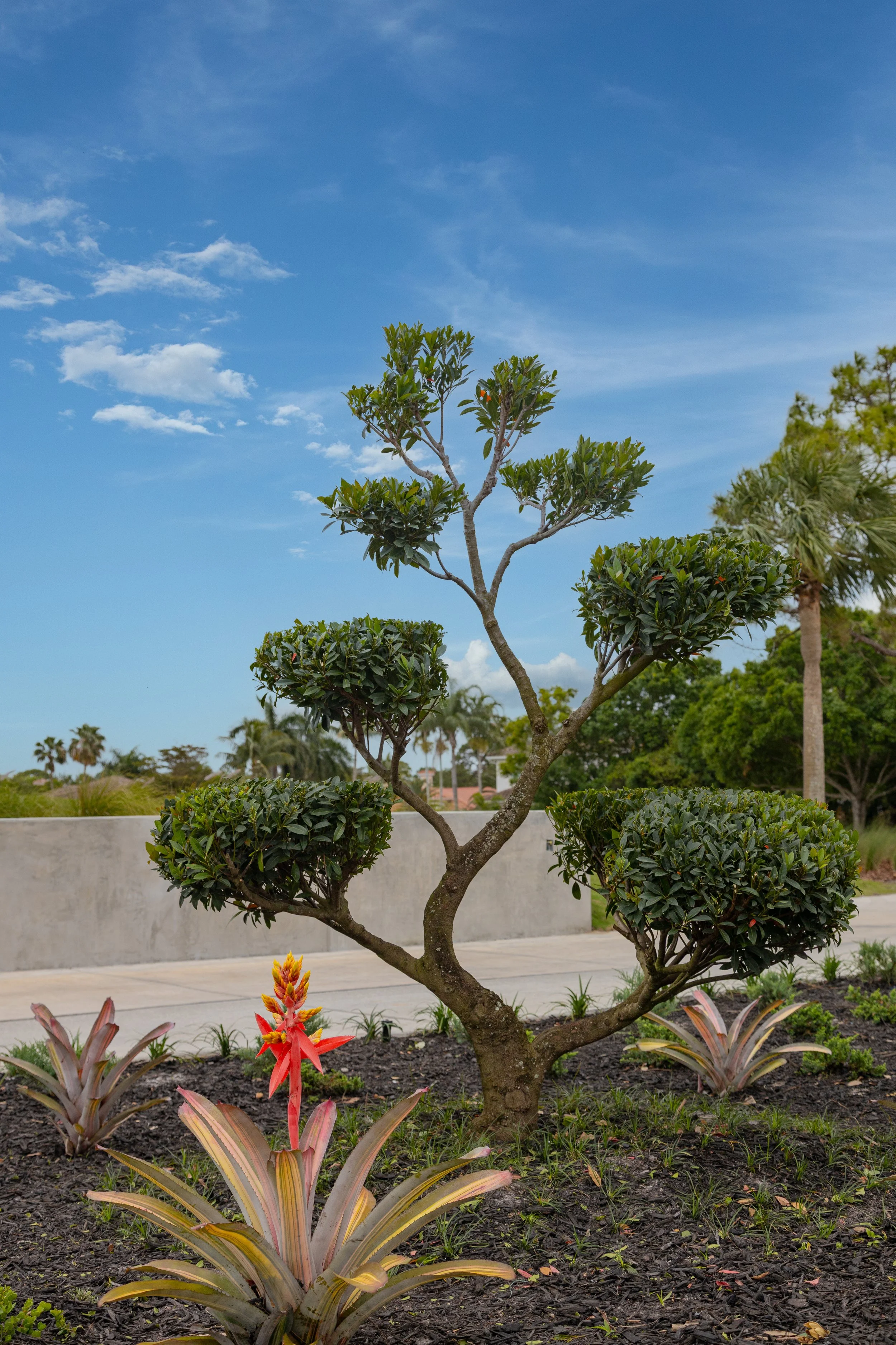 7A5A7455-Edit.jpg