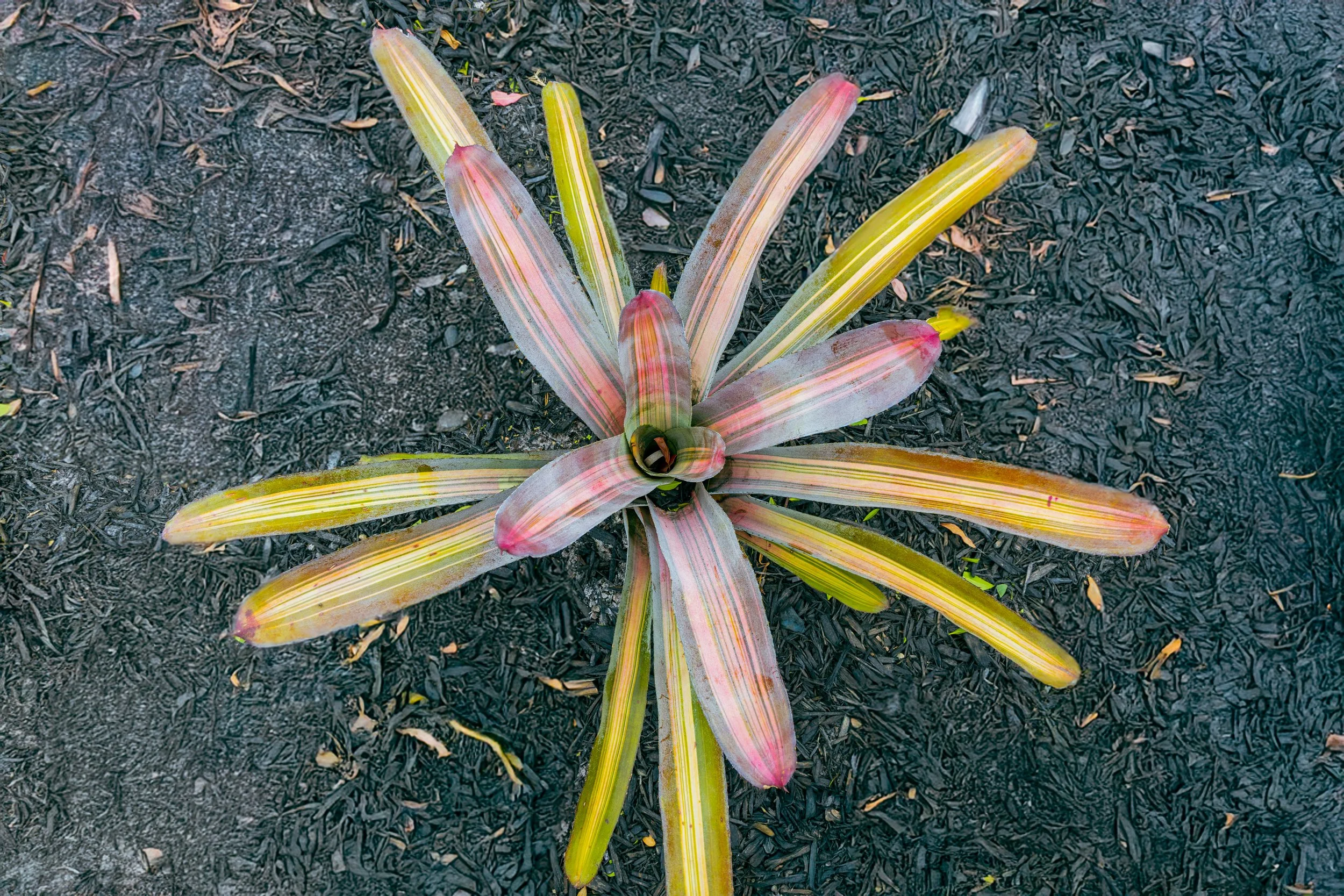7A5A7537-Edit.jpg