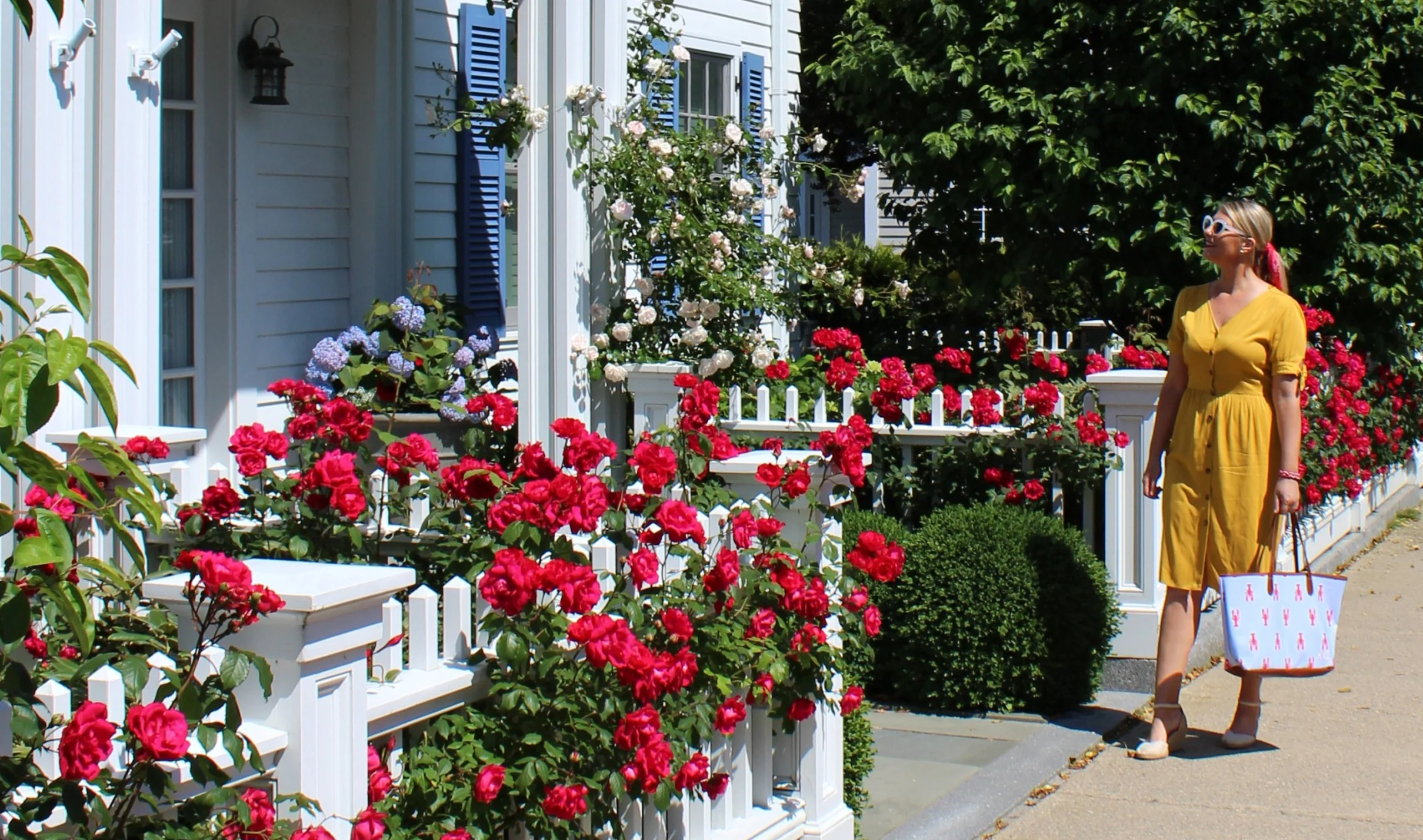 B-G-lobster-roses-6.jpg