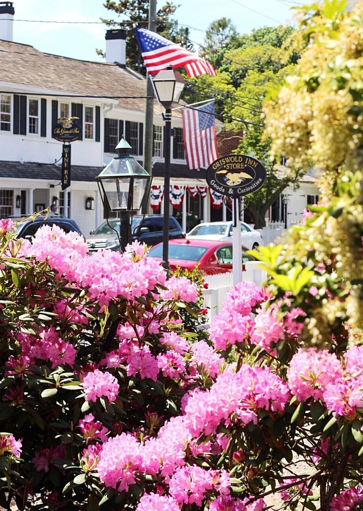 Memorial Day Fun in the Time of COVID