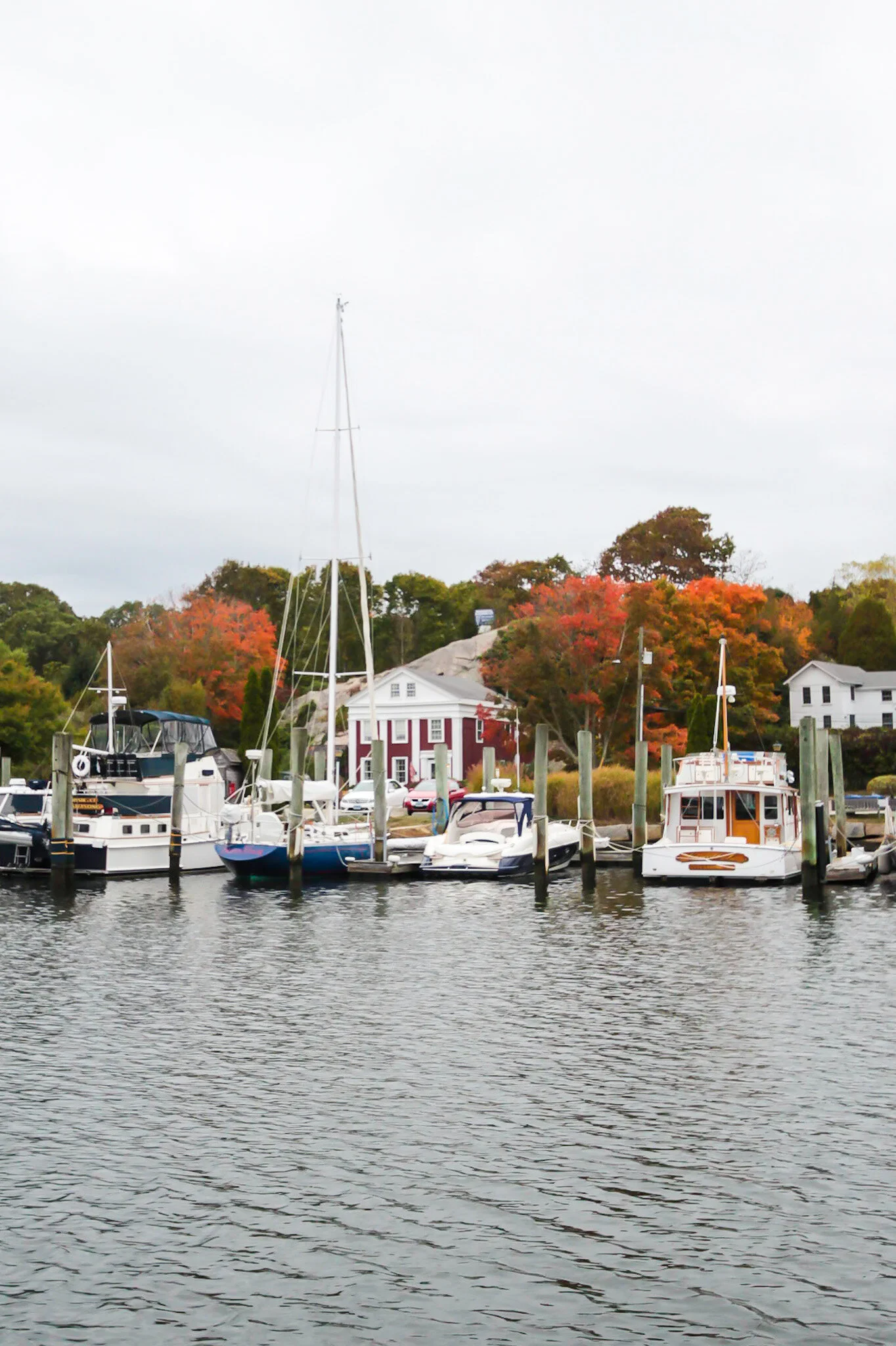 kristy-newengland-mystic-river-cruises-1.JPG